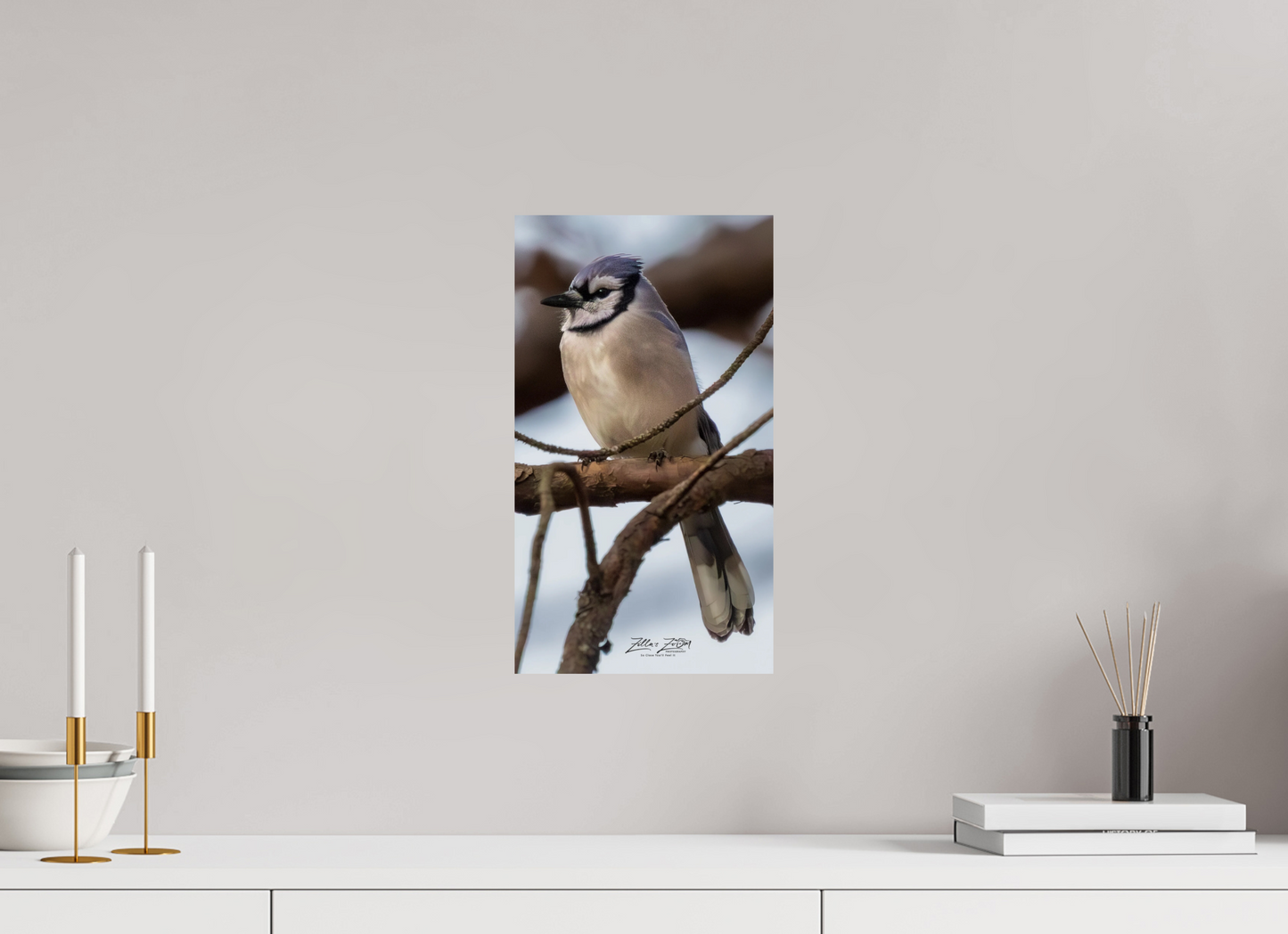 9 x 16″, Photo Print On Fuji Crystal DP II Zillas Zoom Image 446