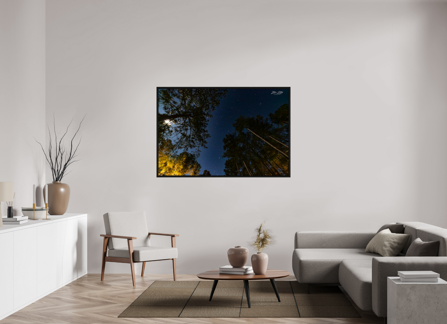 60 x 40″, Floater Frame Zillas zoom image 119