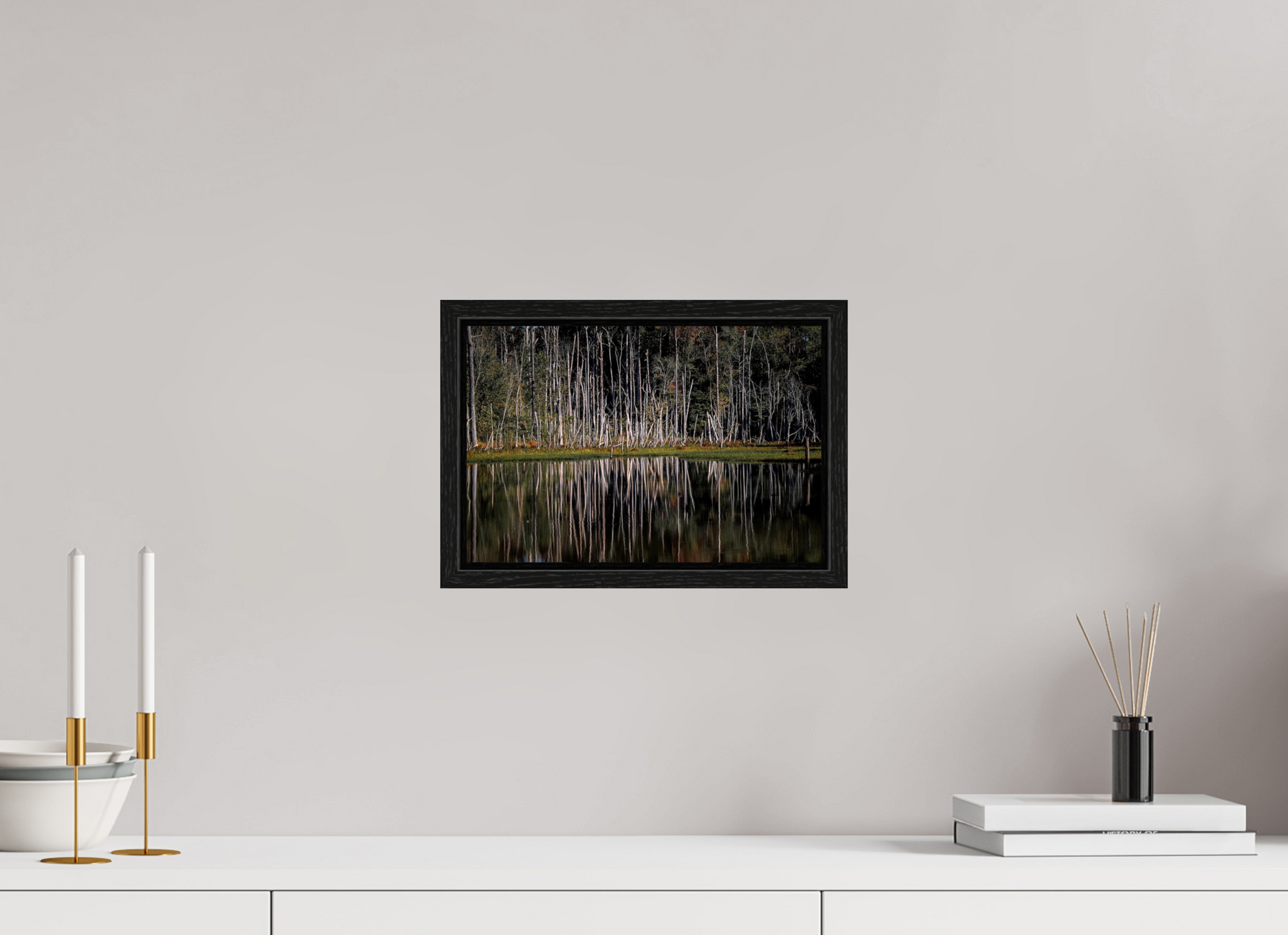 12 x 8″, Floater Frame Zillas Zoom Image 233