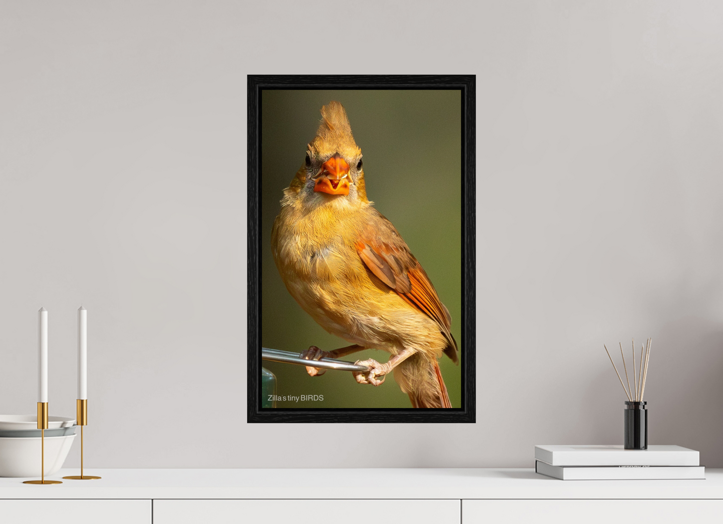 12 x 19.2″, Floater Frame Zillas Zoom Image 509