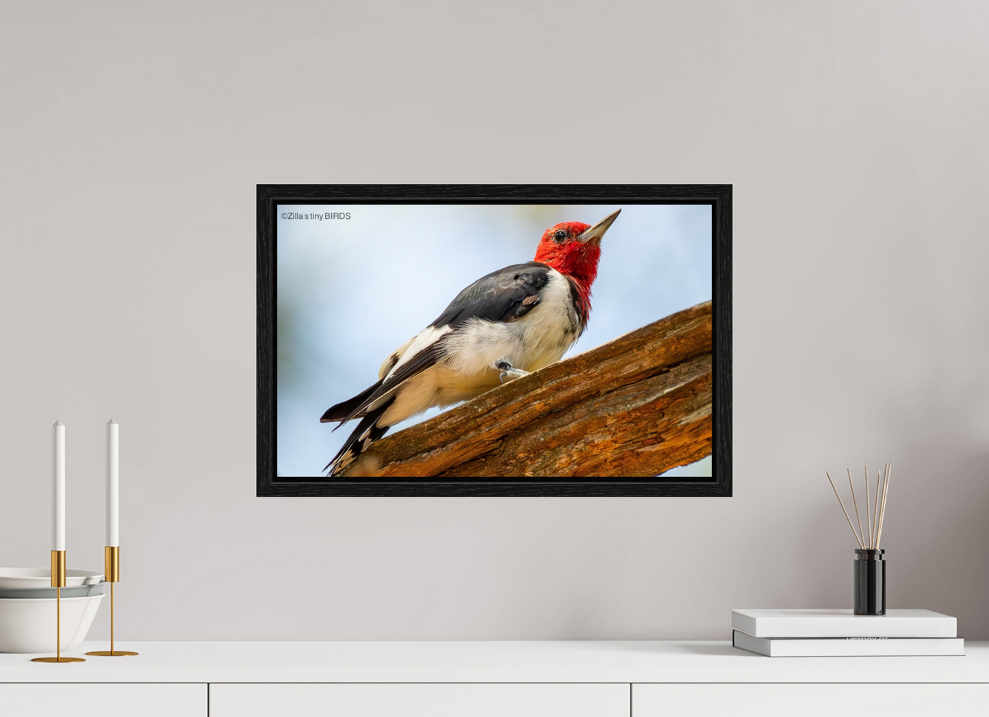 19.2 x 12″, Floater Frame Zillas Zoom Image 328