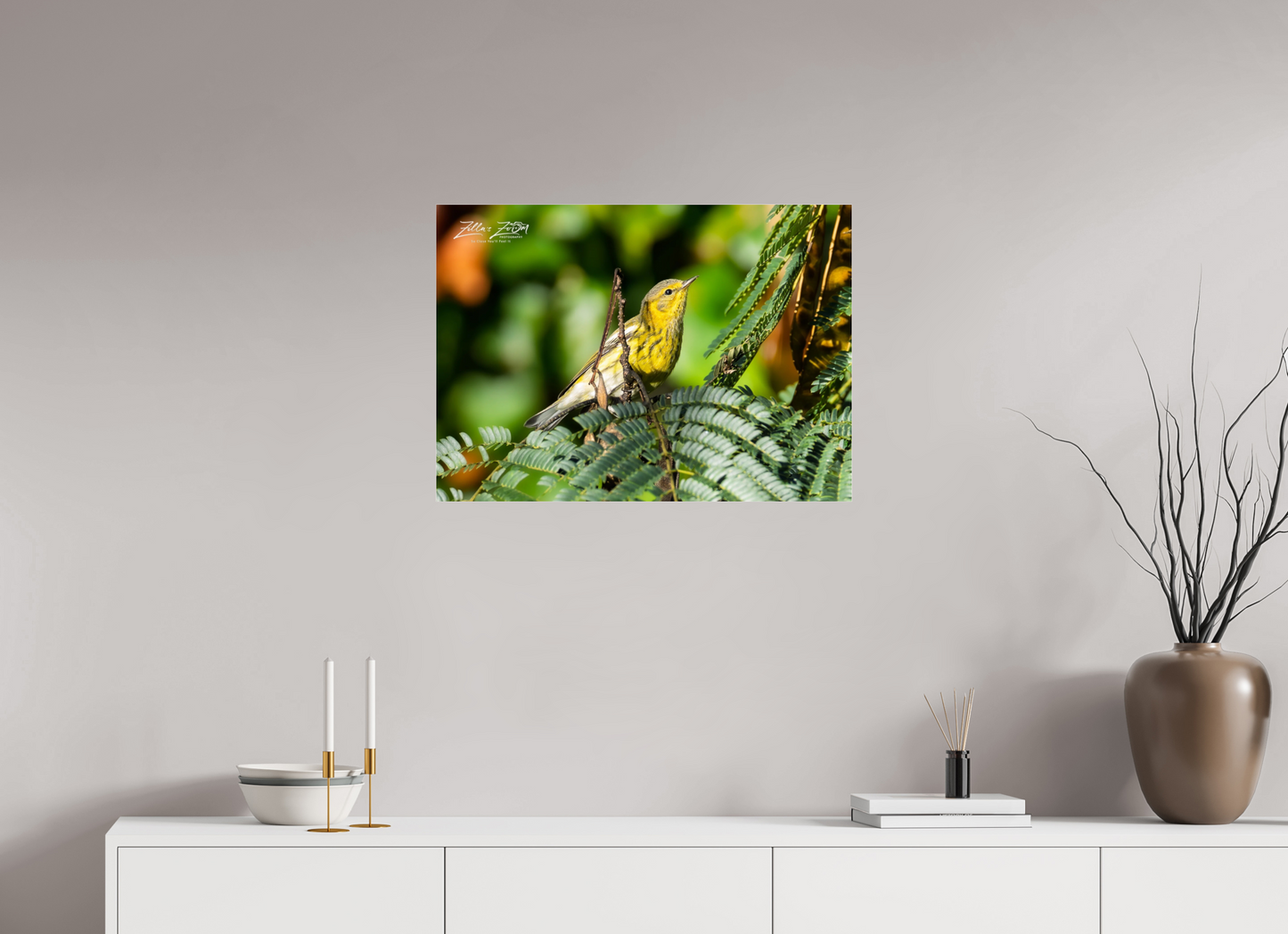 28 x 20″, Photo Print Under Acrylic Glass Zillas Zoom Image 290