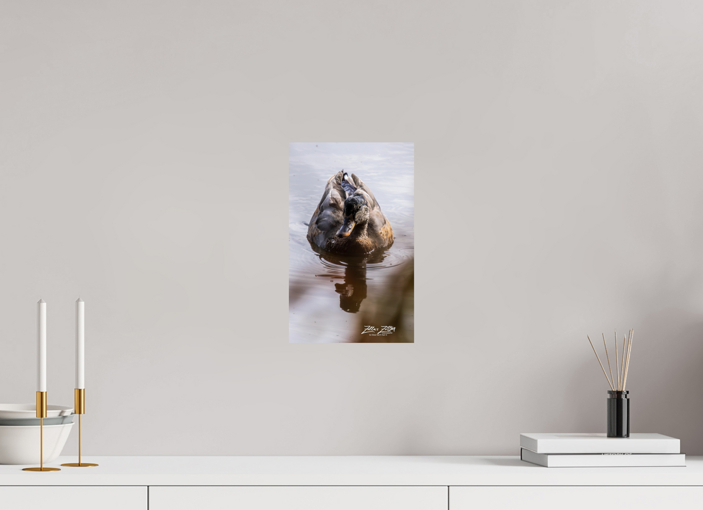8 x 12.8″, Photo Print On Fuji Crystal DP II Zillas Zoom Image 433