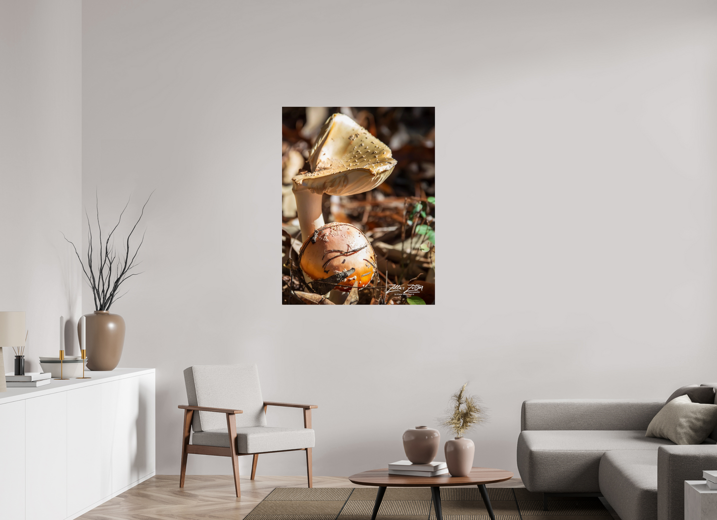 35 x 45.3″, Photo Print Under Acrylic Glass Zillas Zoom Image 116