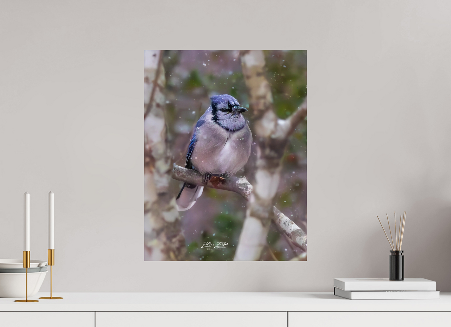 16 x 20.7″, Photo Print Under Acrylic Glass Zillas Zoom Image 438