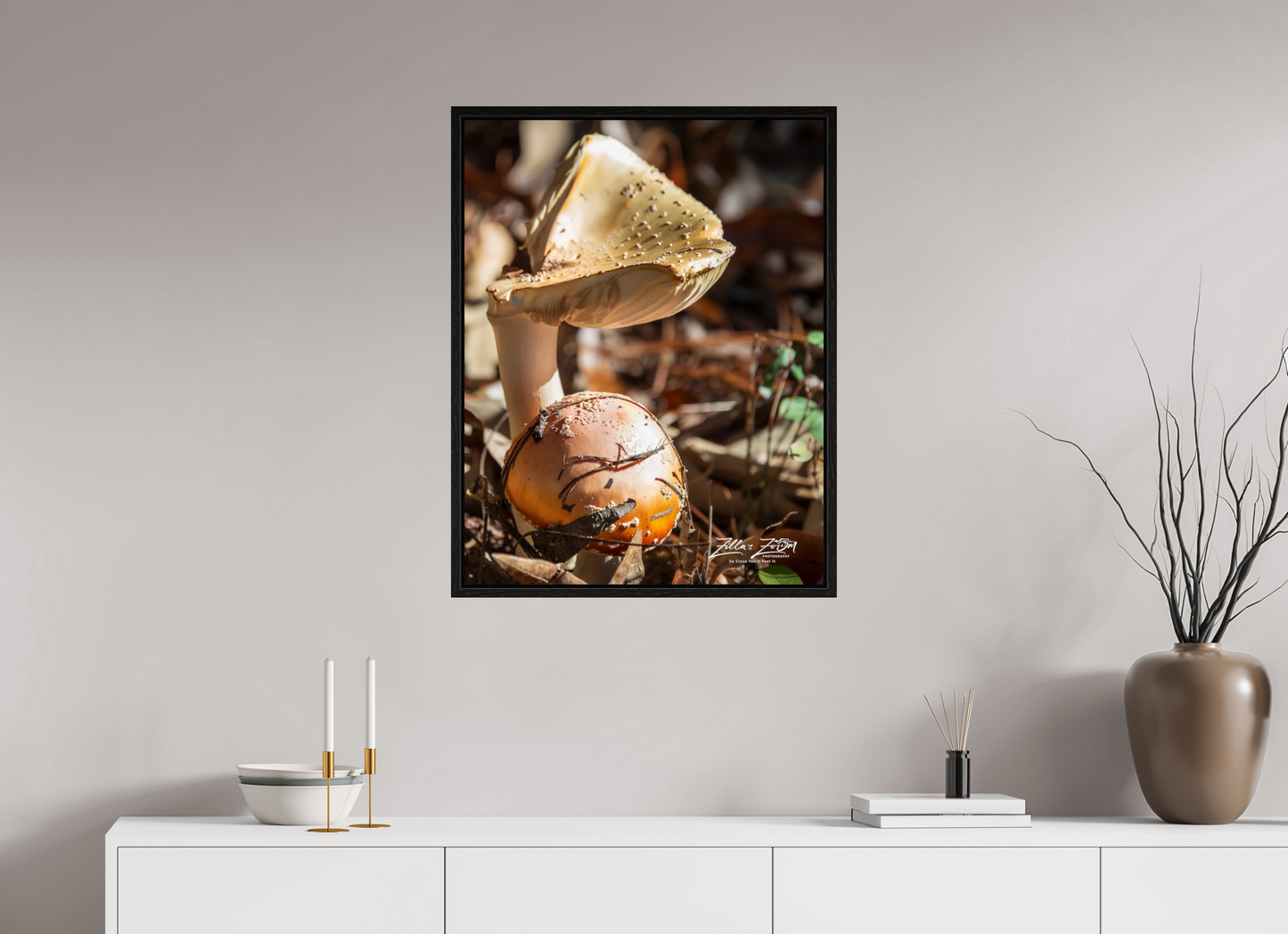 24 x 31.1″, Floater Frame Zillas Zoom Image 116
