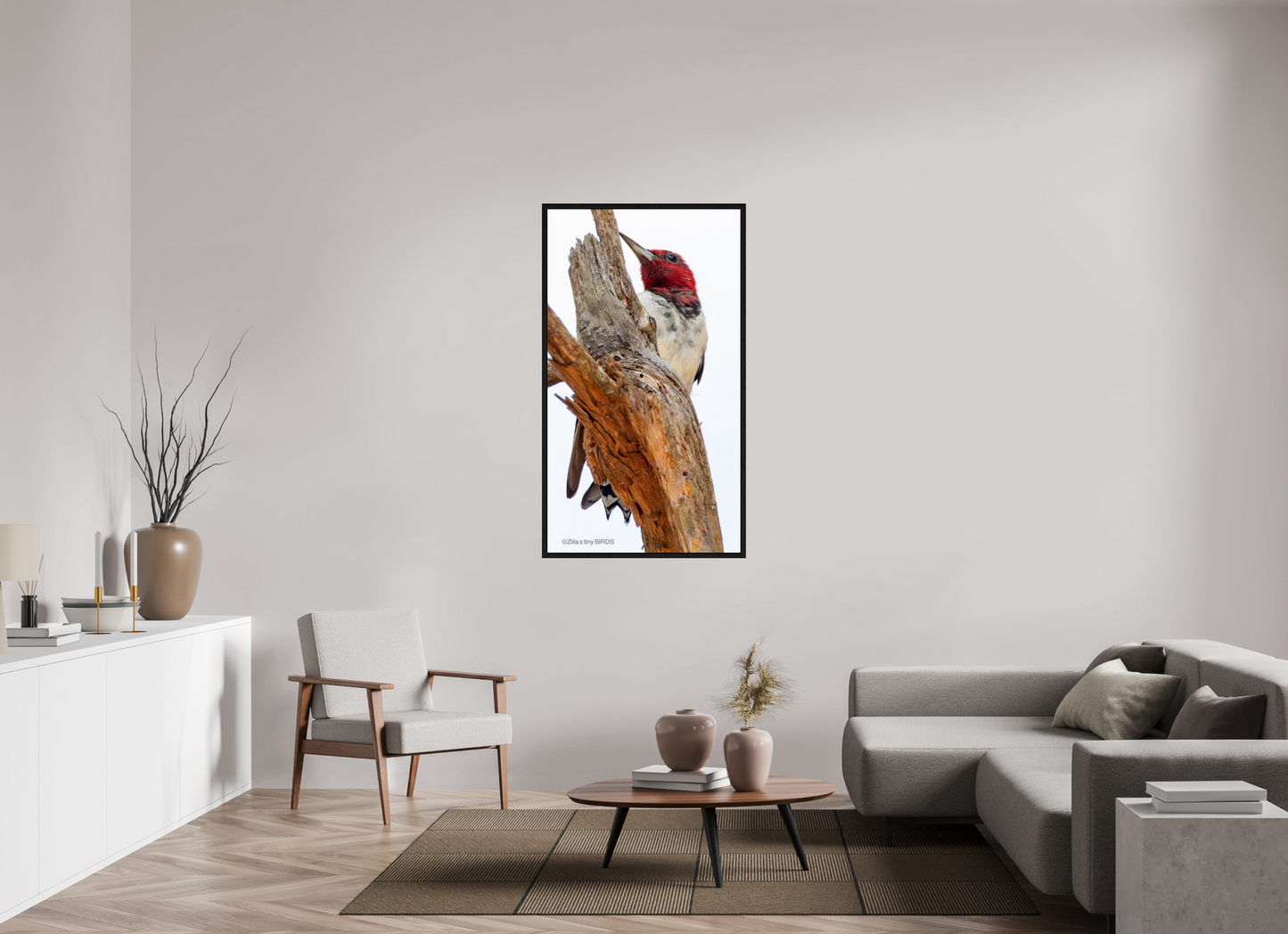30.9 x 55″, Floater Frame Zillas Zoom Image 439