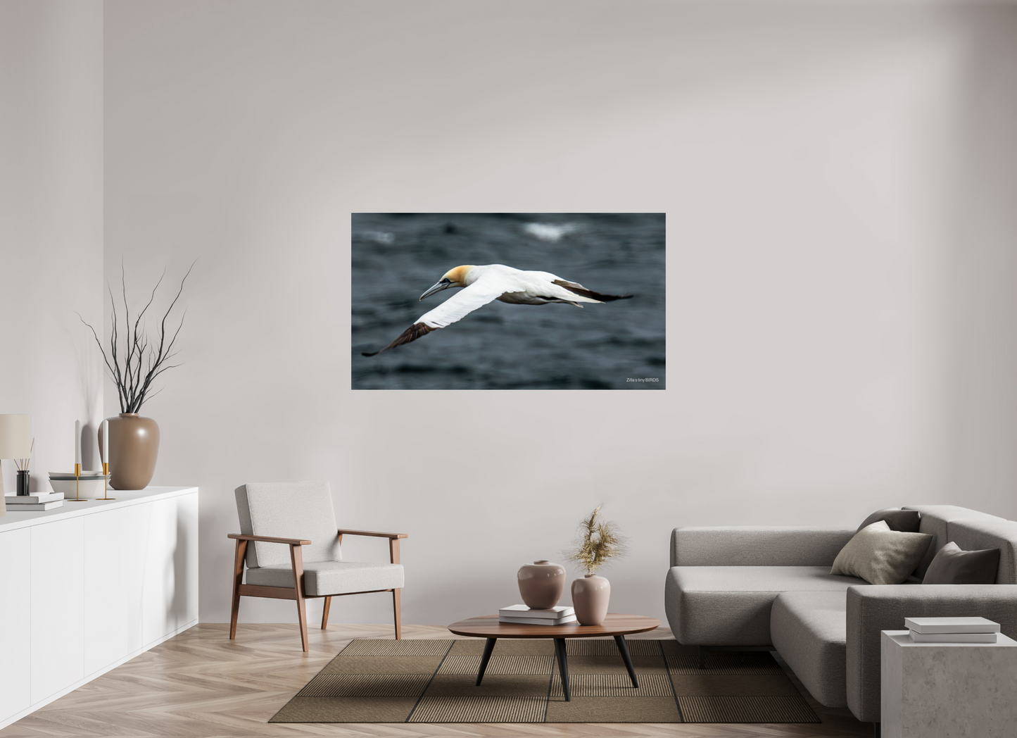 64 x 36″, Photo Print Under Acrylic Glass Zillas Zoom Image 324