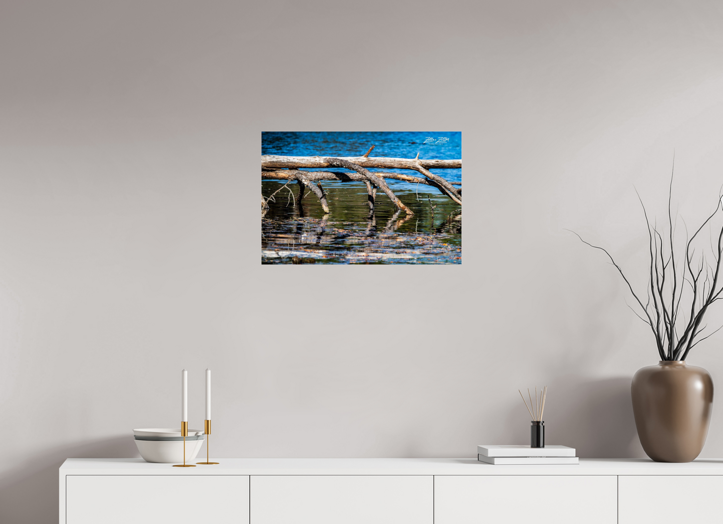 24 x 16″, Photo Print Under Acrylic Glass Zillas Zoom Image 214