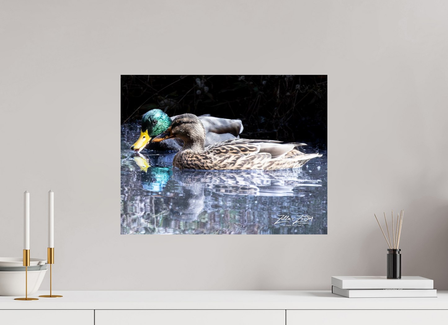 20.7 x 16″, Photo Print On Fuji Crystal DP II Zillas Zoom Image 292