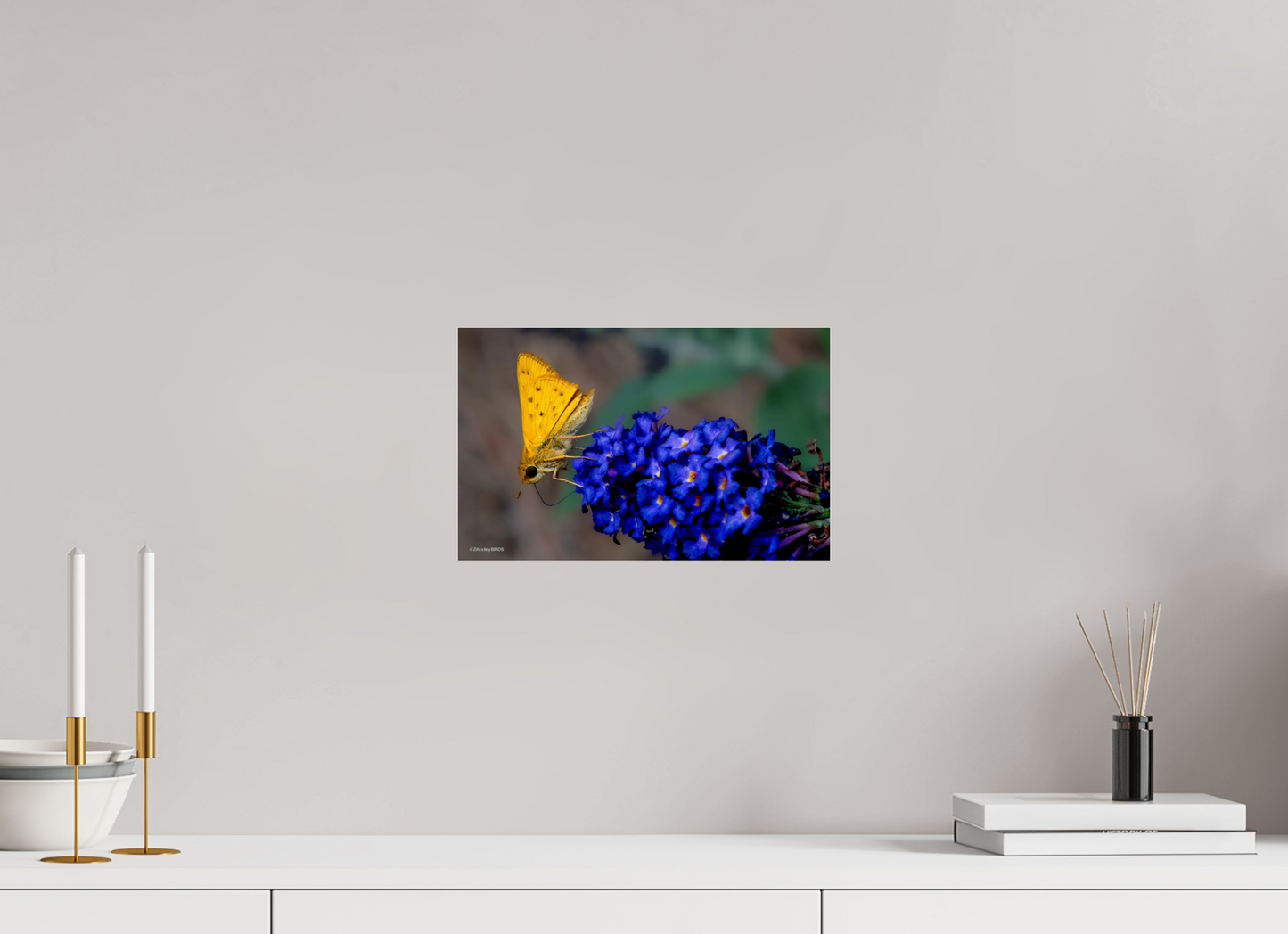 12.8 x 8″, Photo Print Under Acrylic Glass Zillas Zoom Image 61
