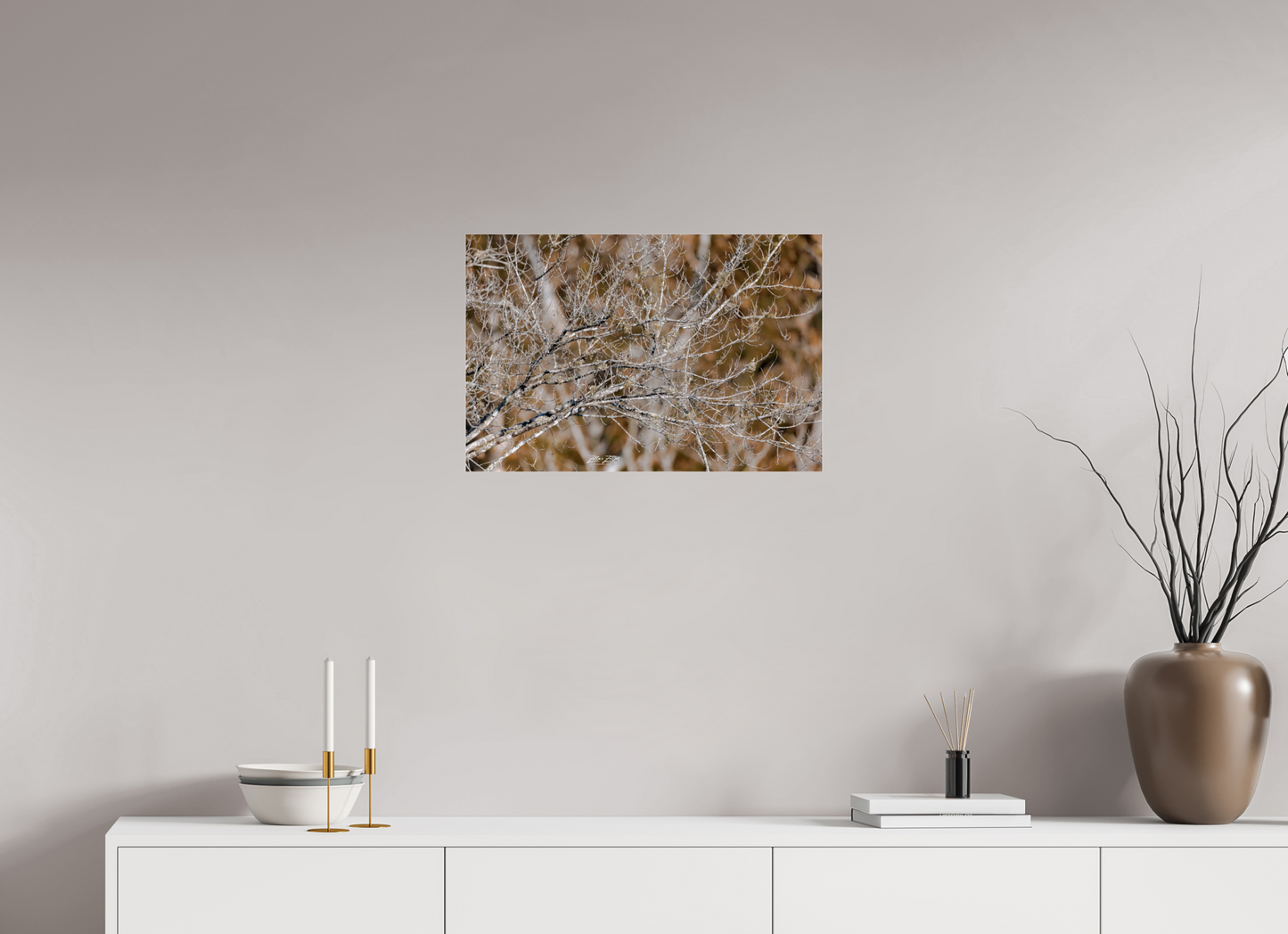 24 x 16″, Photo Print Under Acrylic Glass Zillas Zoom Image 235