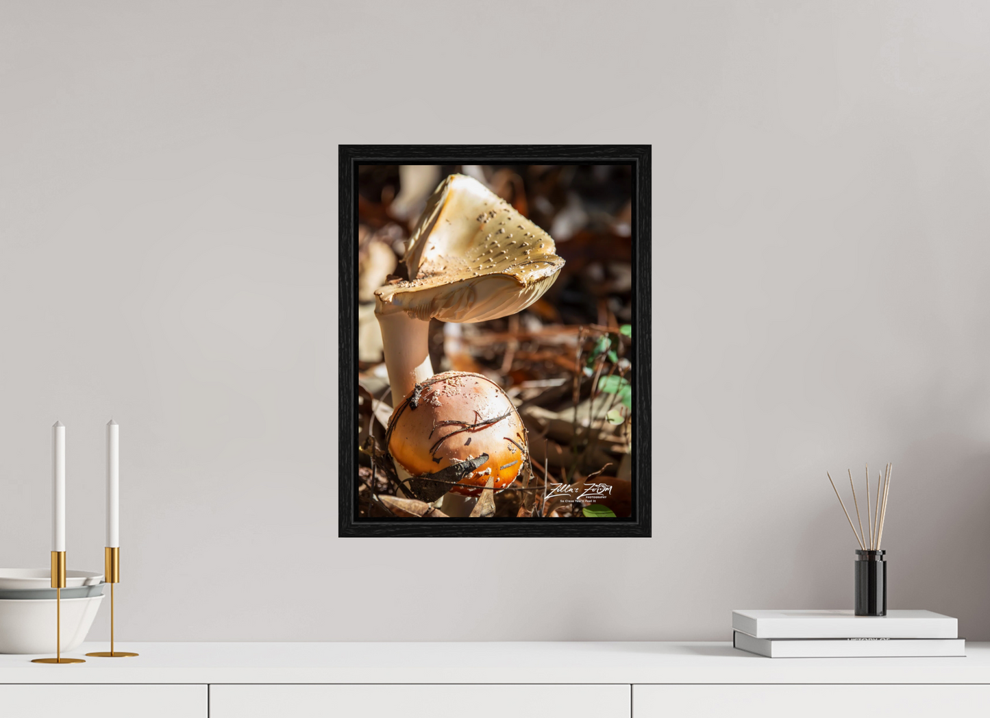 12 x 15.5″, Floater Frame Zillas Zoom Image 116