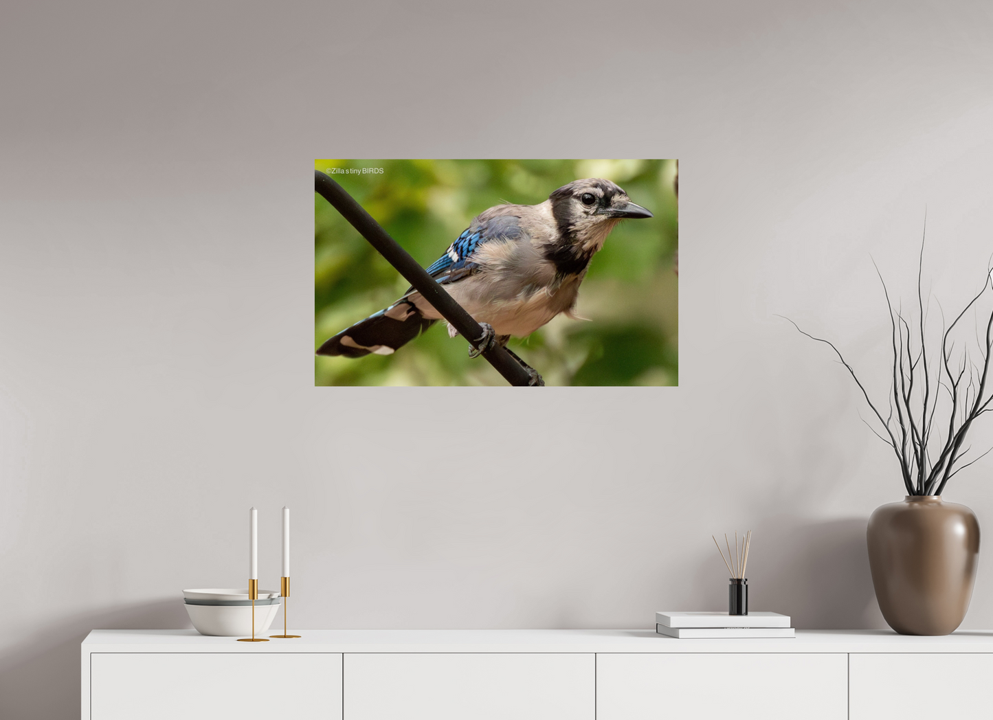 32 x 20″, Photo Print On Fuji Crystal DP II Zillas Zoom Image 348
