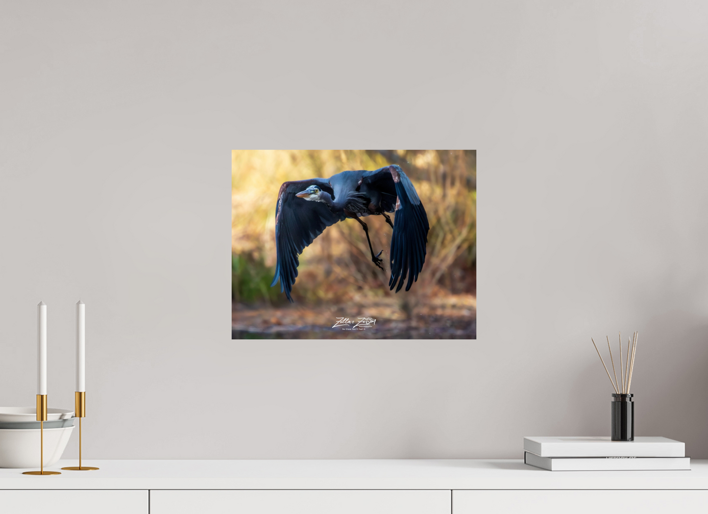 15.5 x 12″, Photo Print On Fuji Crystal DP II Zillas Zoom Image 295