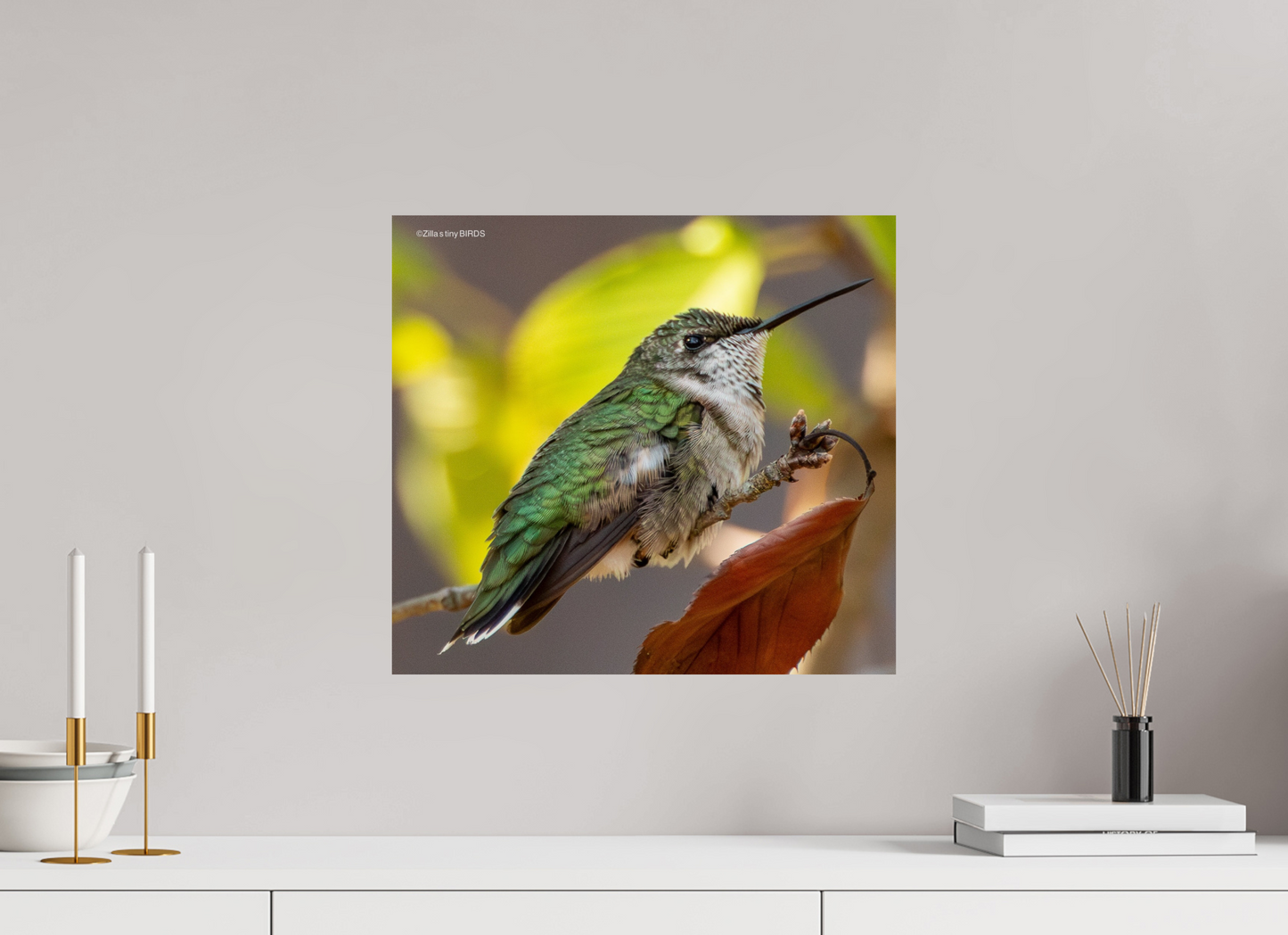 17.6 x 16″, Photo Print On Fuji Crystal DP II Zillas Zoom Image 347