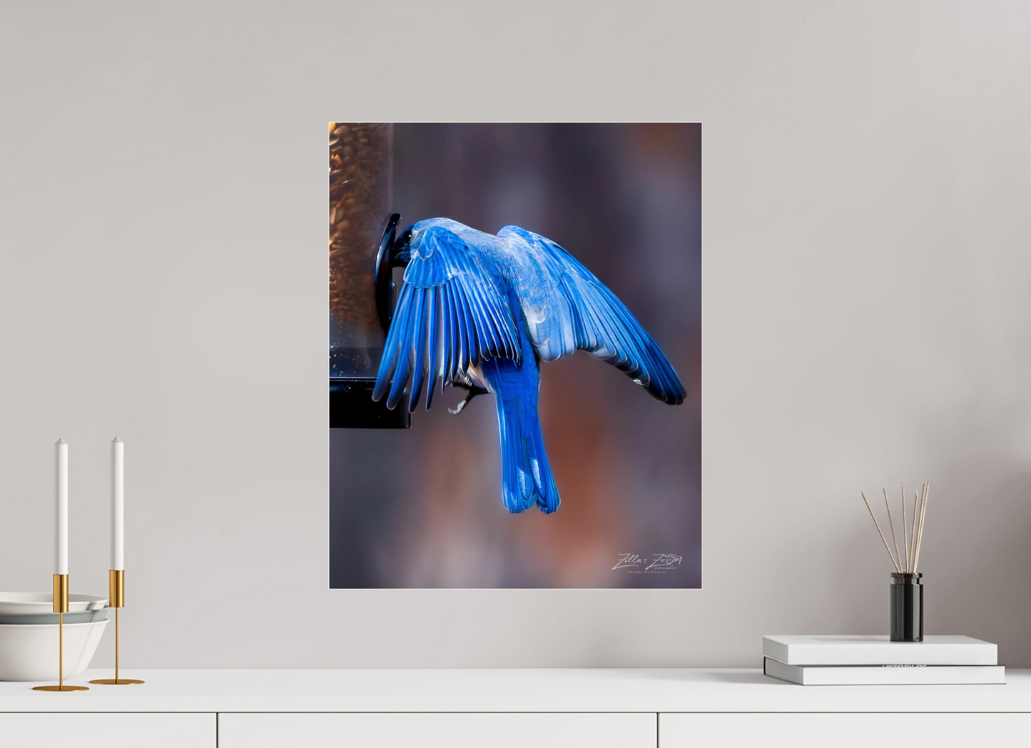 16 x 20″, Photo Print Under Acrylic Glass Zillas Zoom Image 511