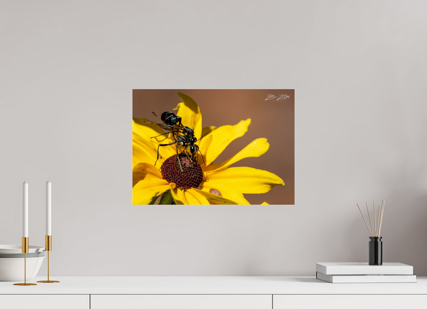 16.8 x 12″, Photo Print Under Acrylic Glass Zillas Zoom Image 104