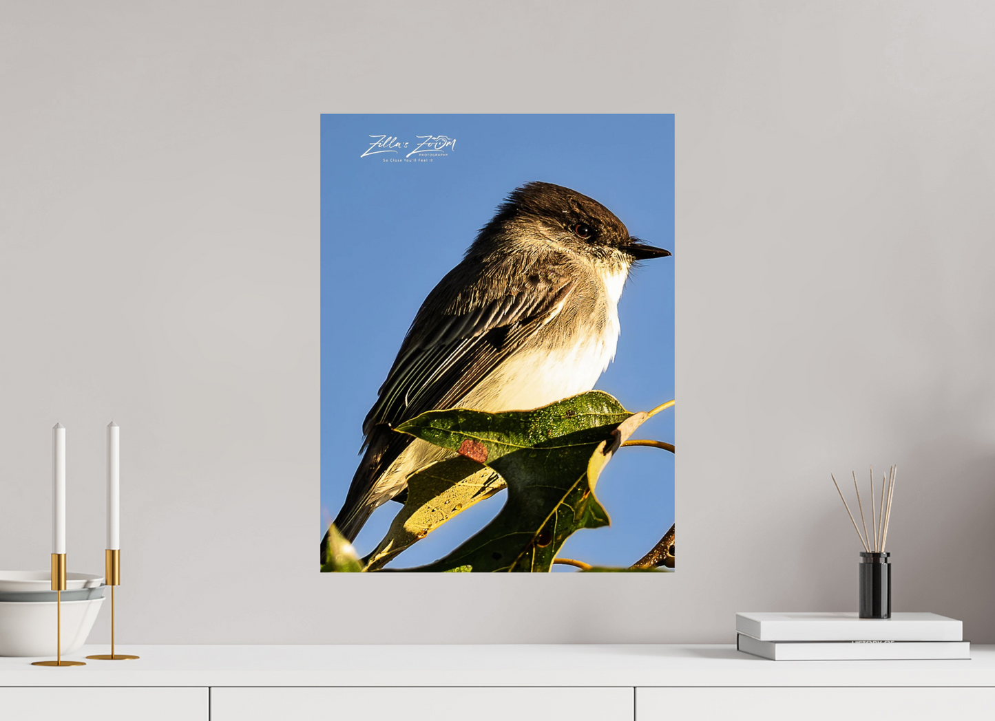 16 x 20.7″, Photo Print On Fuji Crystal DP II Zillas Zoom Image 428