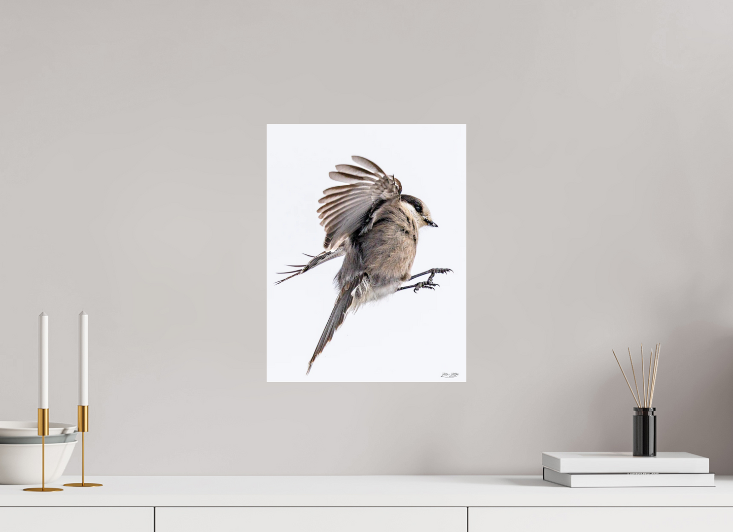 12 x 15.5″, Photo Print Under Acrylic Glass Zillas Zoom Image 525
