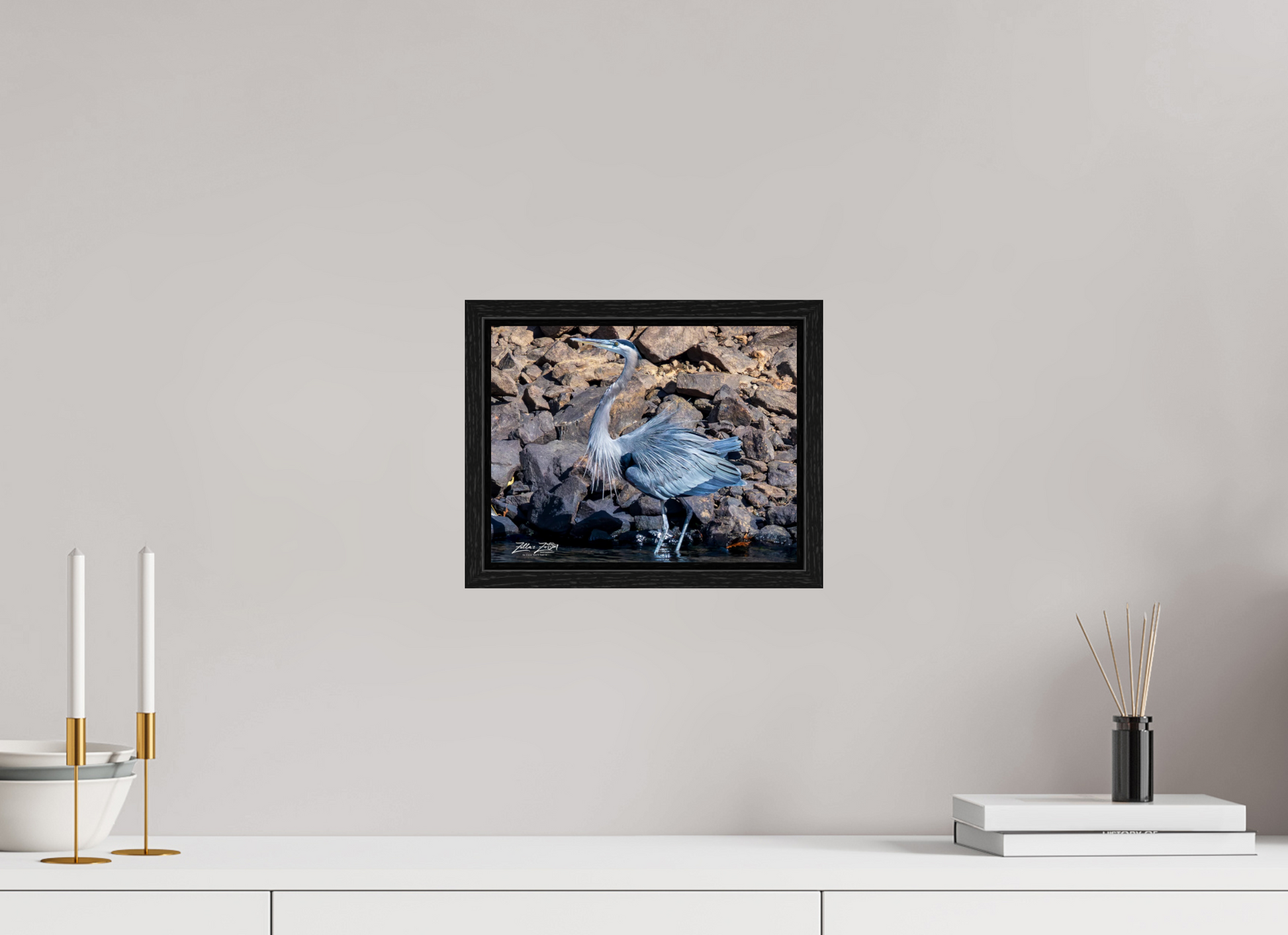 10.4 x 8″, Floater Frame Zillas Zoom Image 293