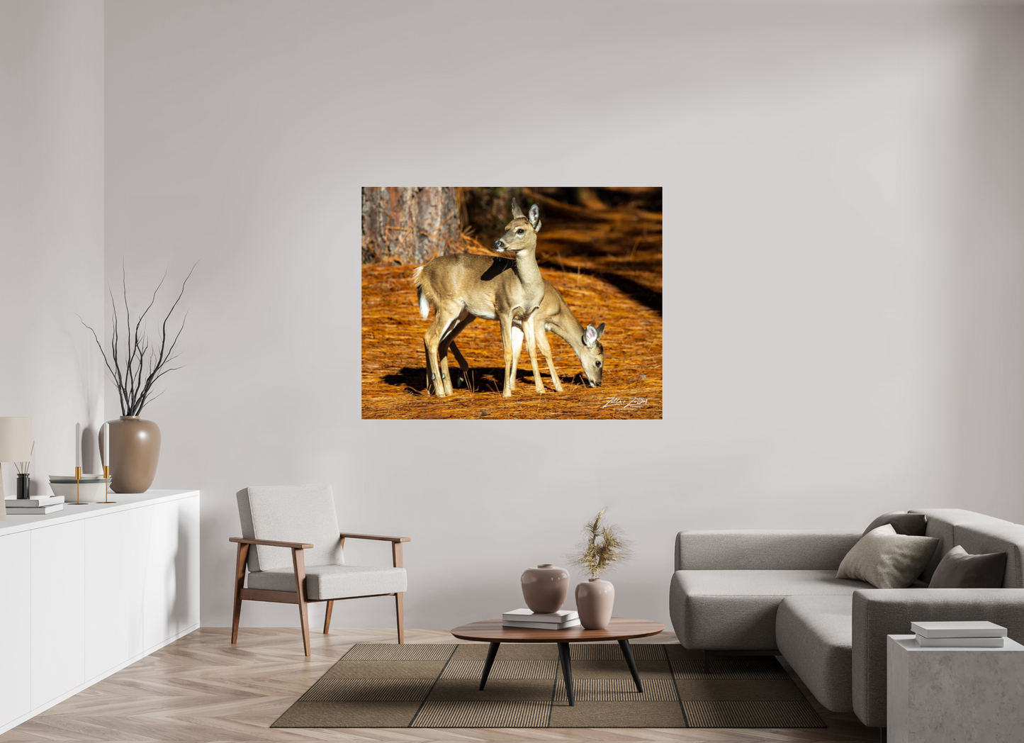 60.8 x 47″, Photo Print Under Acrylic Glass Zillas zoom image 144