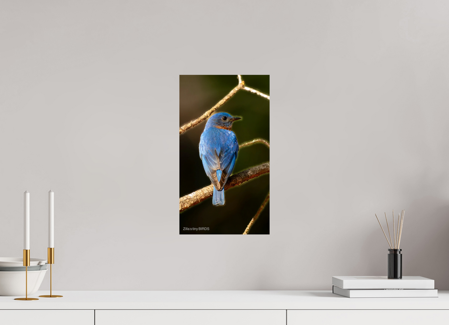 9 x 16″, Photo Print On Fuji Crystal DP II Zillas Zoom Image 489