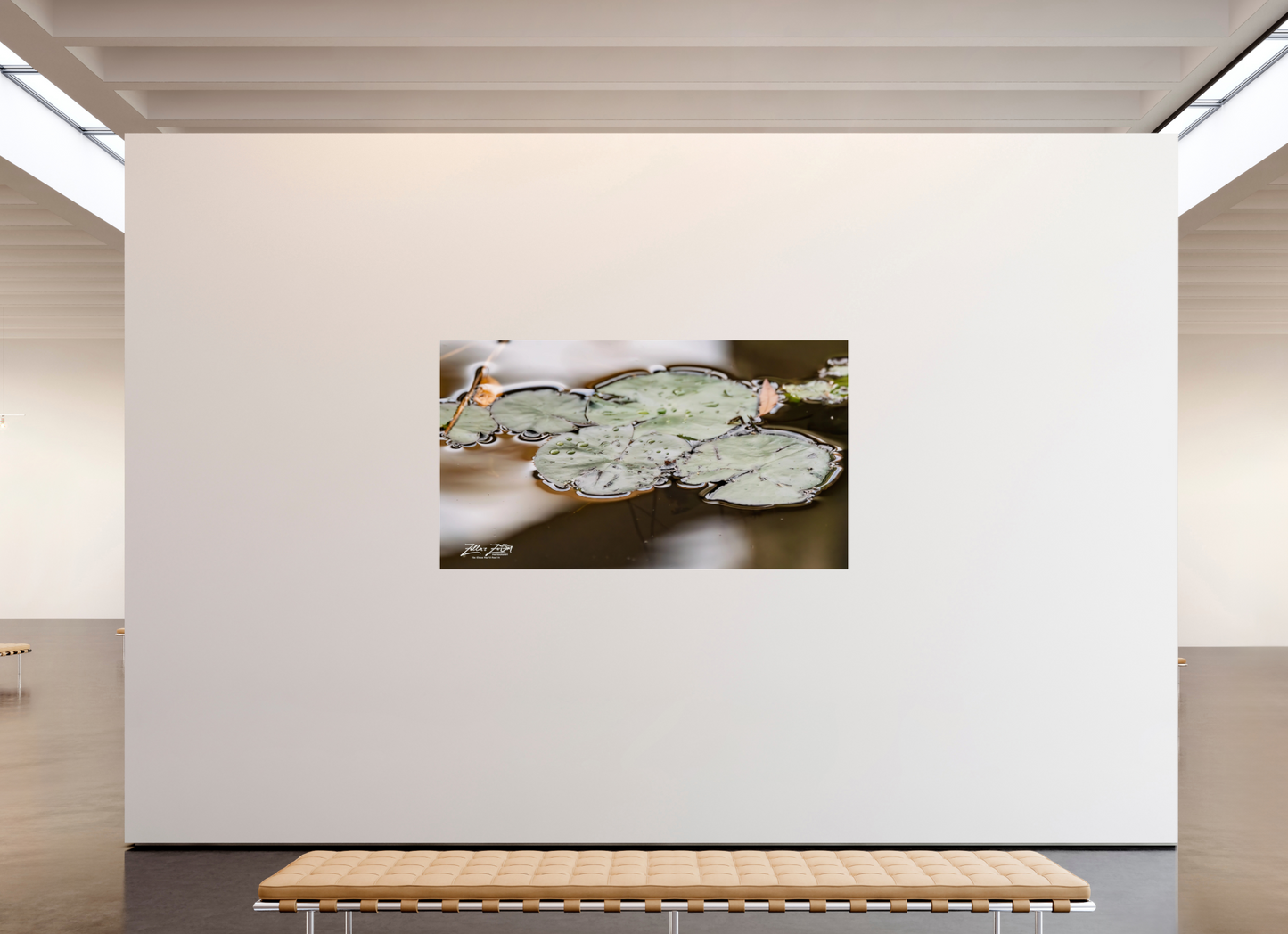 80 x 45″, Photo Print Under Acrylic Glass Zillas Zoom Image 89