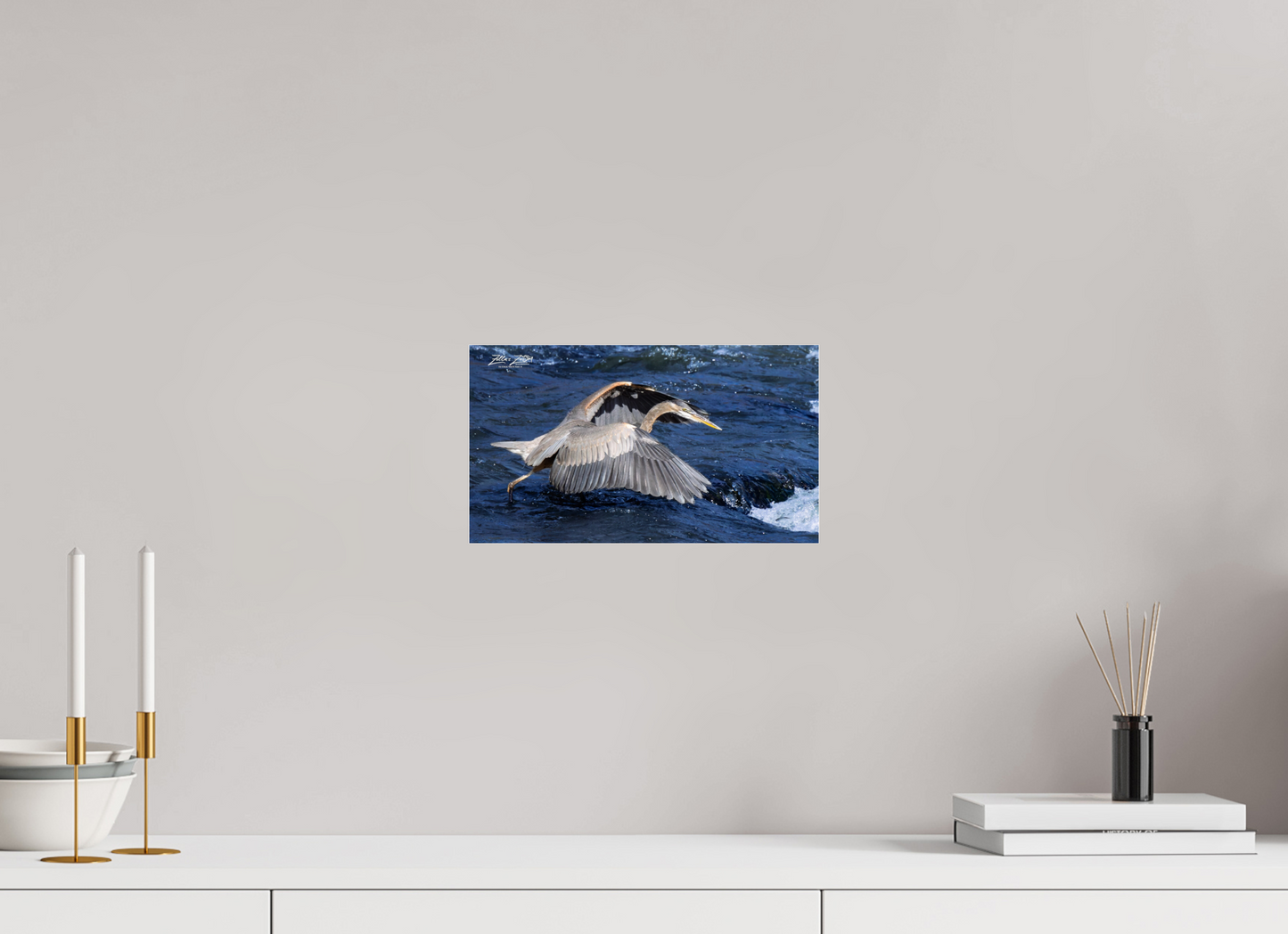 12 x 6.8″, Photo Print Under Acrylic Glass Zillas Zoom Image 286