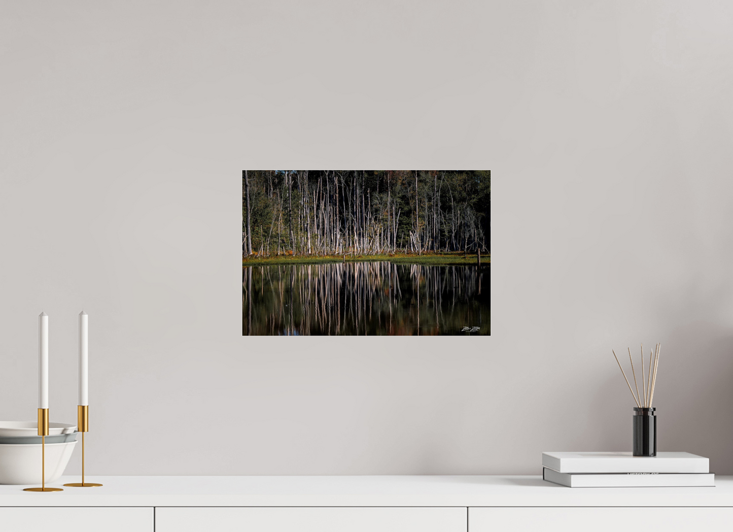 15 x 10″, Photo Print Under Acrylic Glass Zillas Zoom Image 238