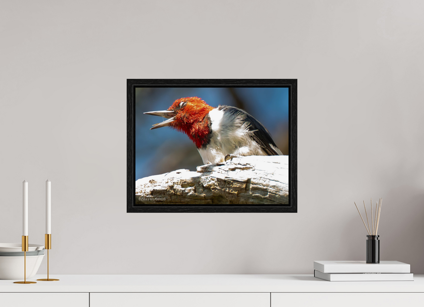 15.7 x 12″, Floater Frame Zillas Zoom Image 269