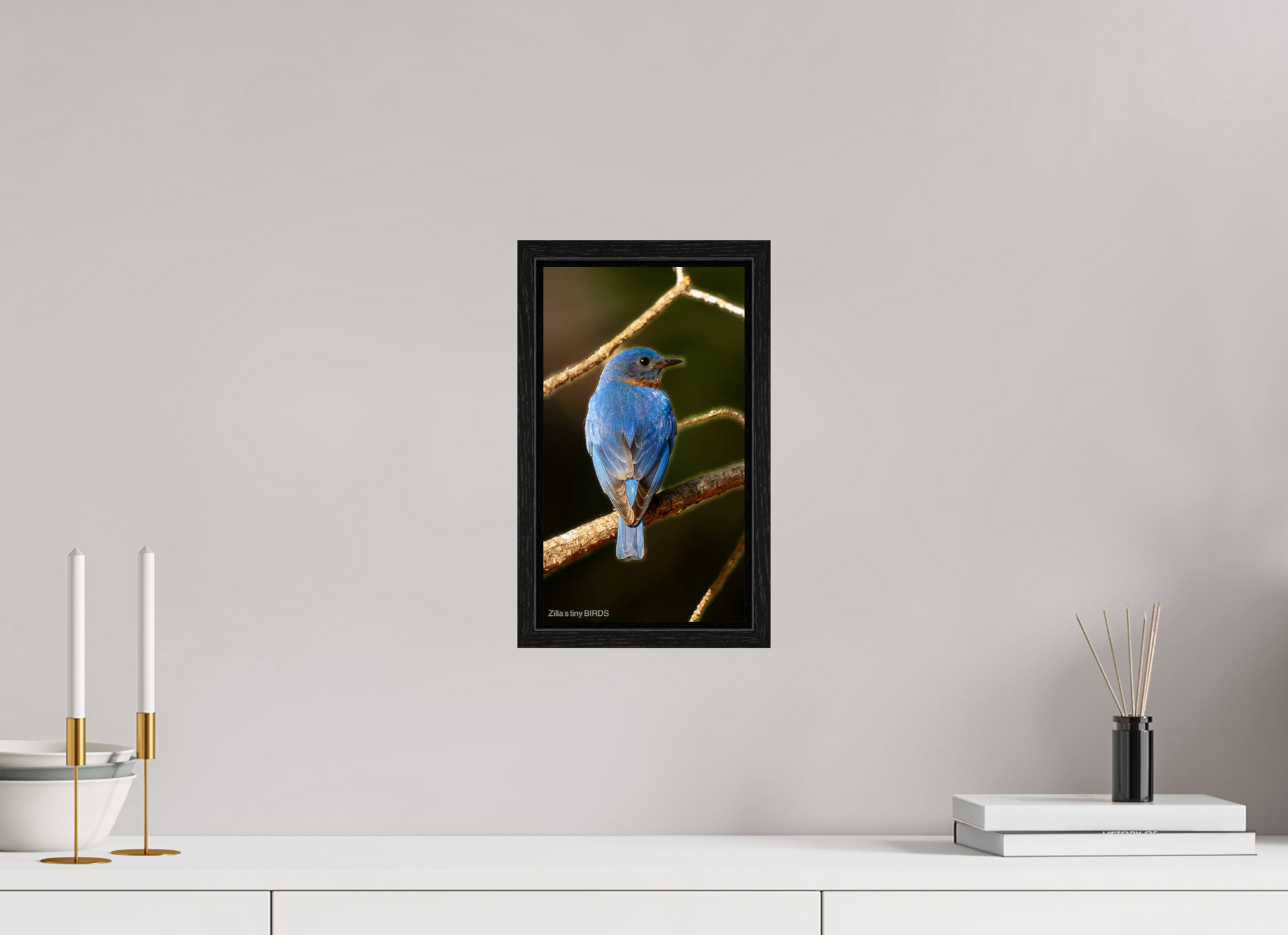 6.8 x 12″, Floater Frame Zillas Zoom Image 489