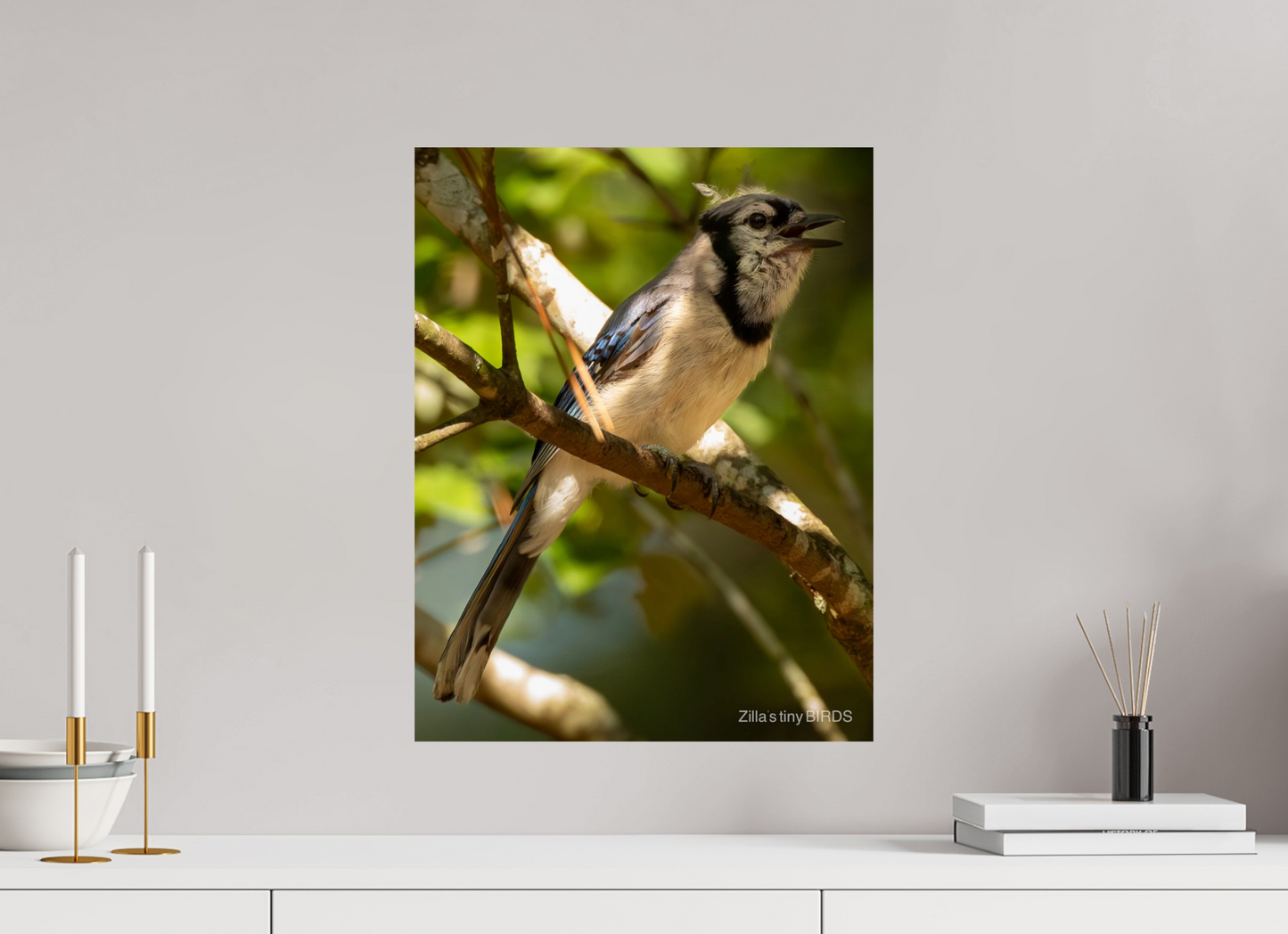 16 x 20.7″, Photo Print On Fuji Crystal DP II Zillas Zoom Image 517