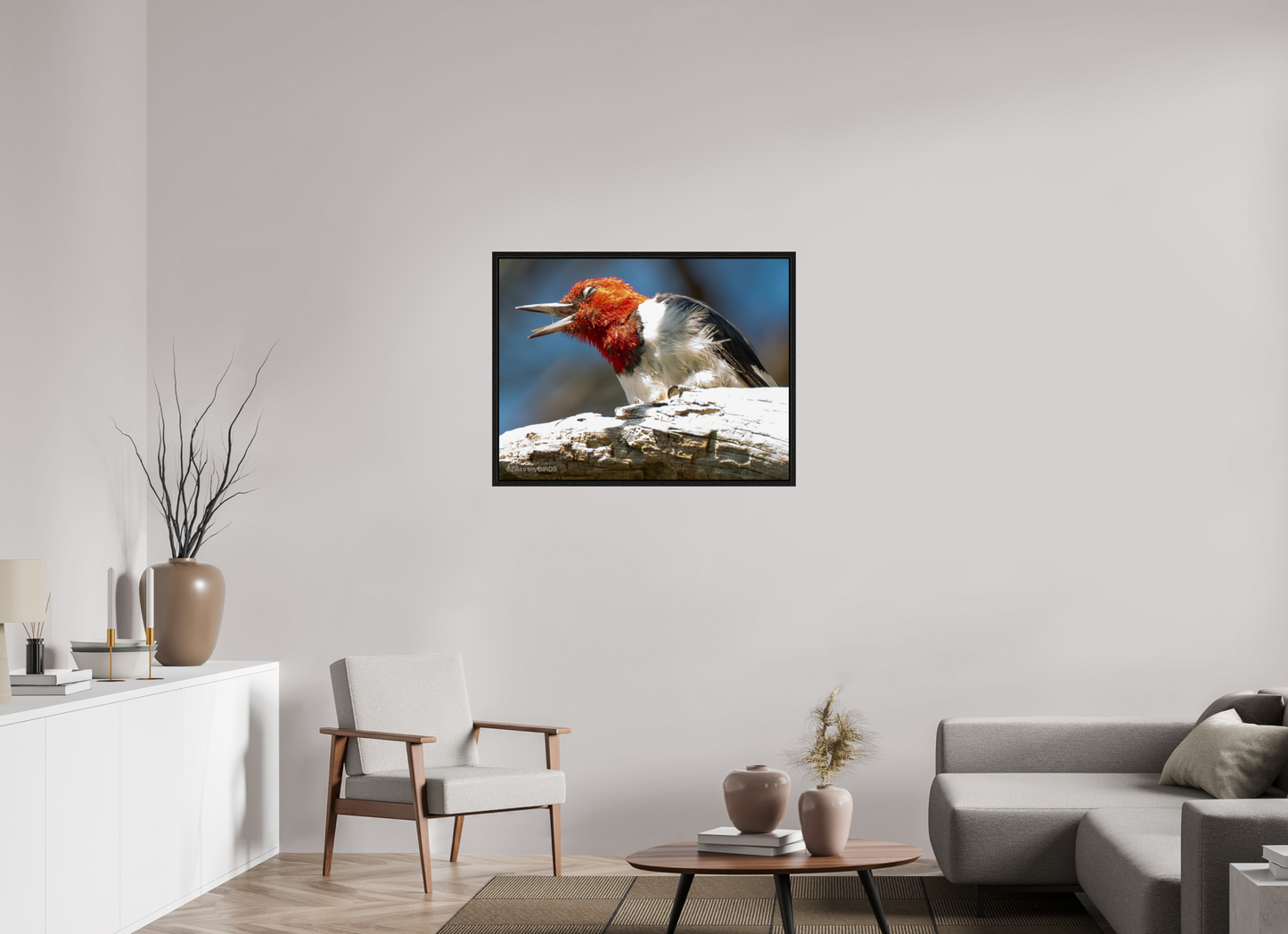 36.7 x 28″, Floater Frame Zillas Zoom Image 269