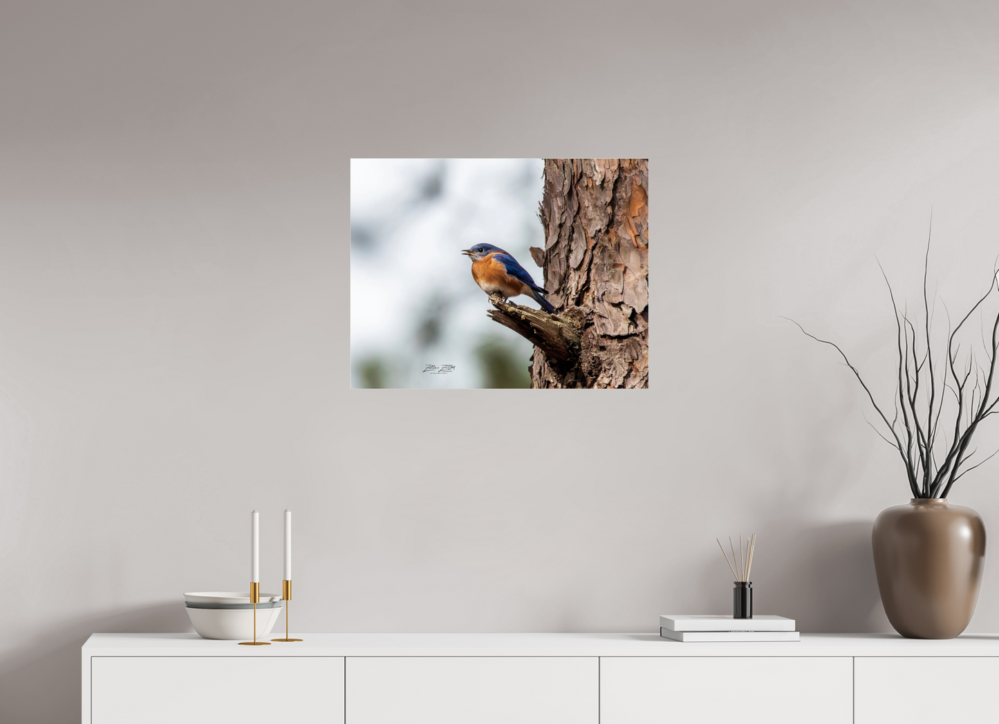 25.9 x 20″, Photo Print Under Acrylic Glass Zillas Zoom Image 349