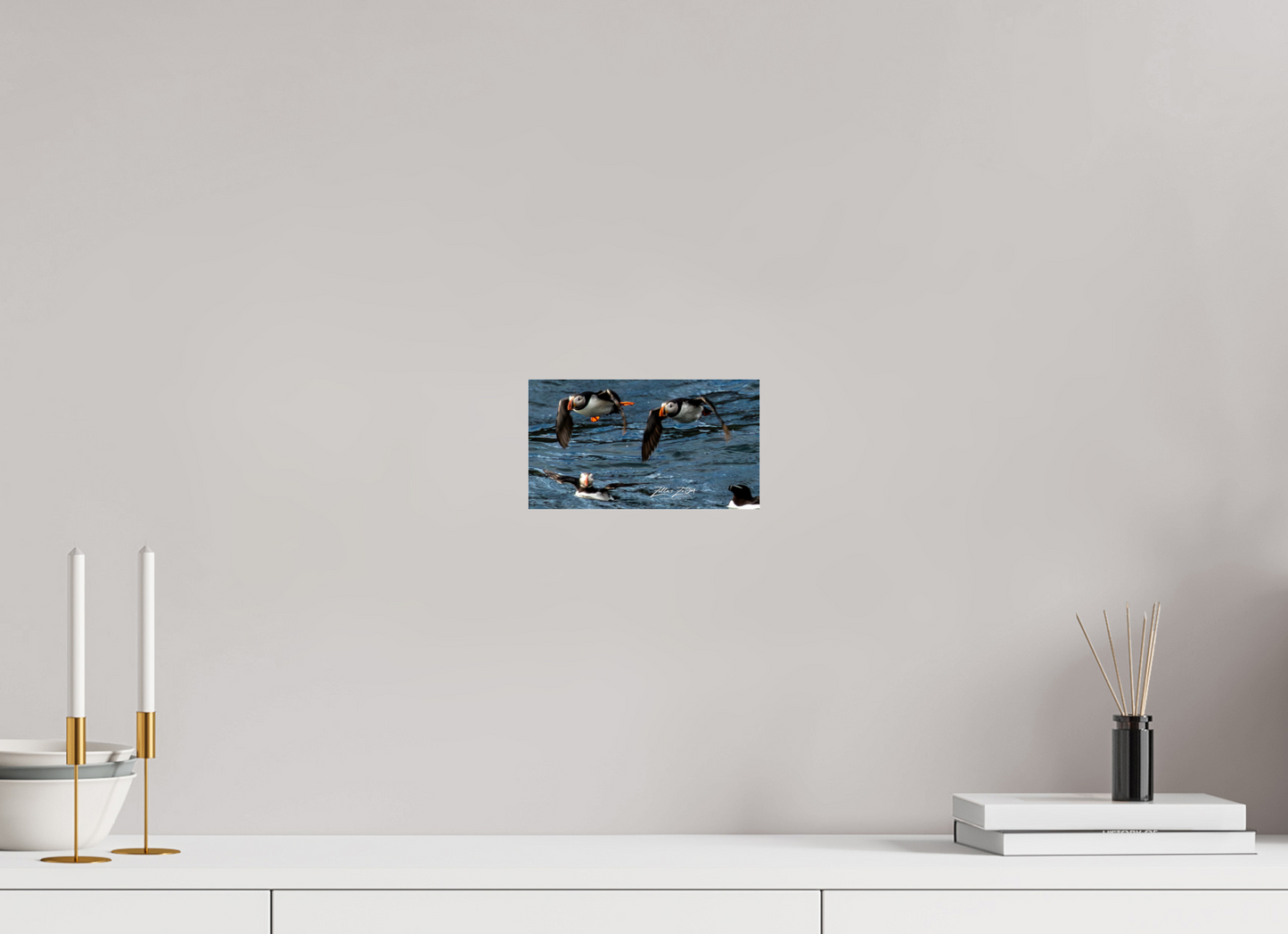 8 x 4.5″, Photo Print Under Acrylic Glass Zillas Zoom Image 340