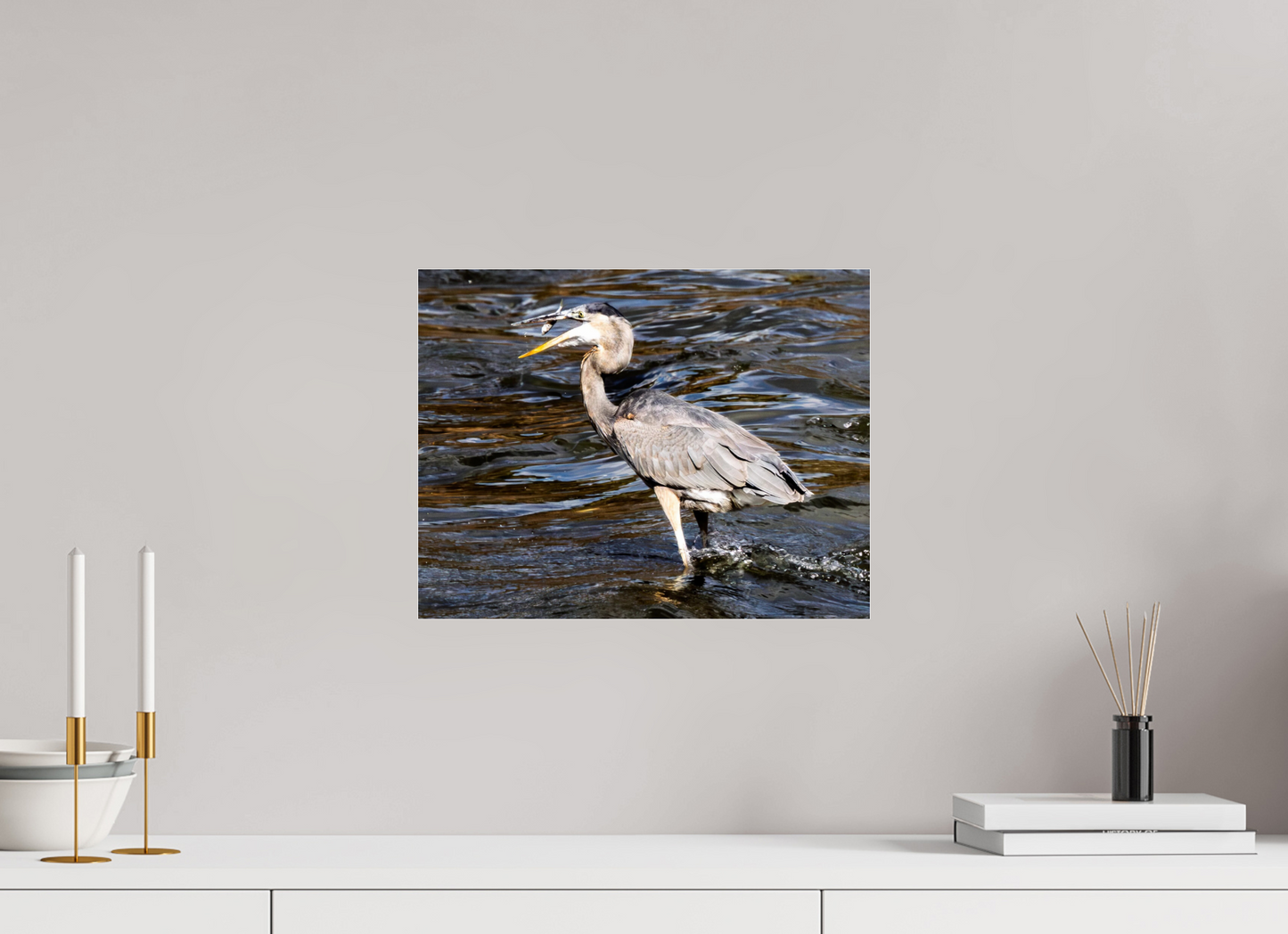 15.5 x 12″, Photo Print Under Acrylic Glass Zillas Zoom Image 369
