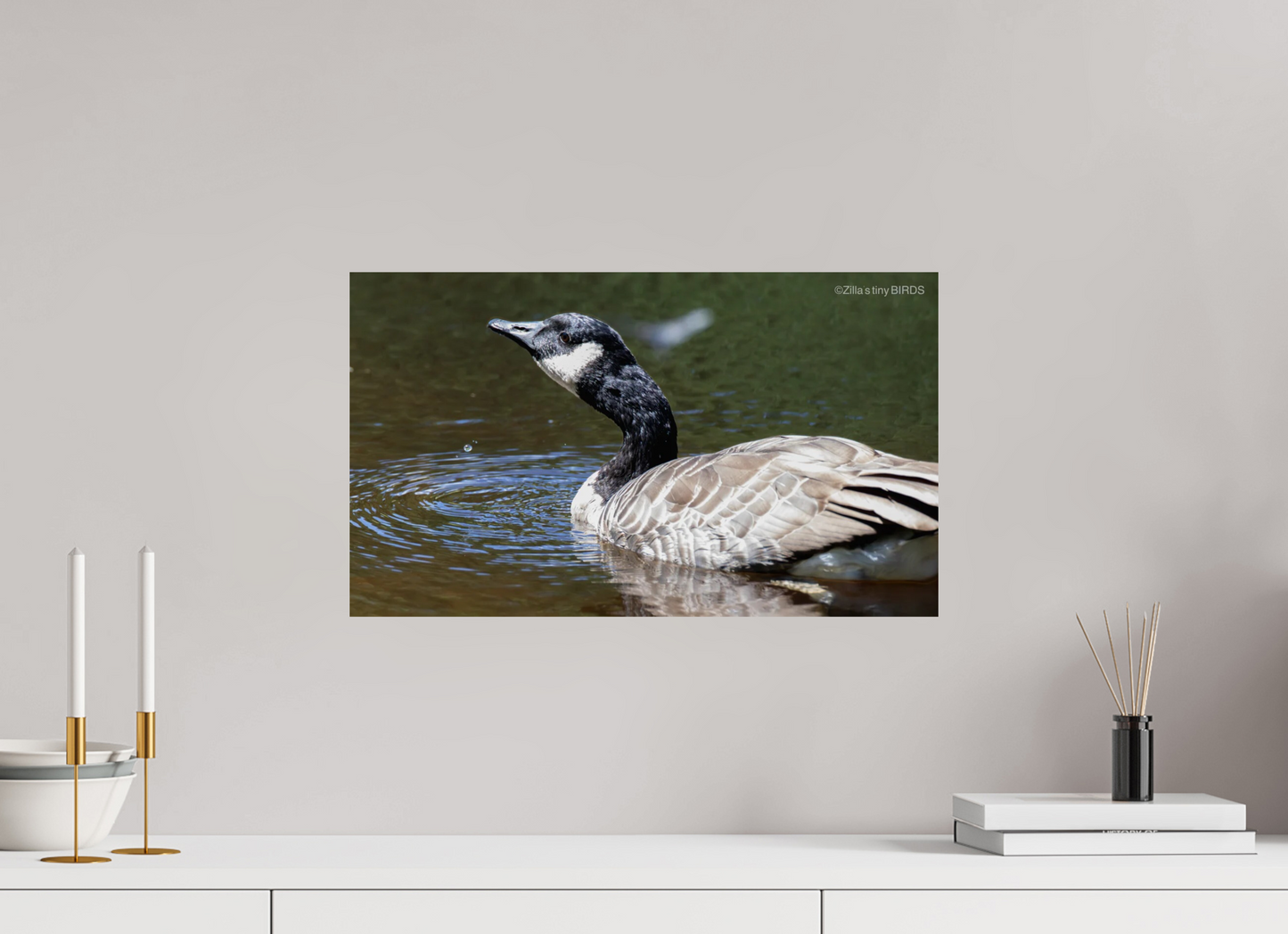 20.5 x 12″, Photo Print On Fuji Crystal DP II Zillas Zoom Image 315