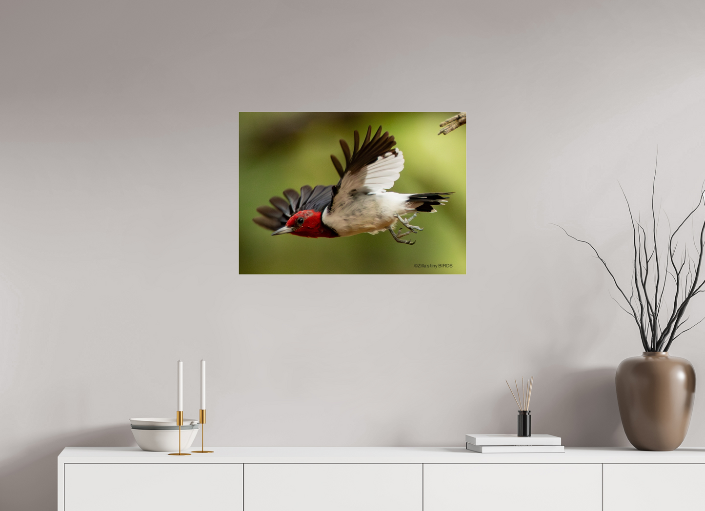 28 x 20″, Photo Print Under Acrylic Glass Zillas Zoom Image 274