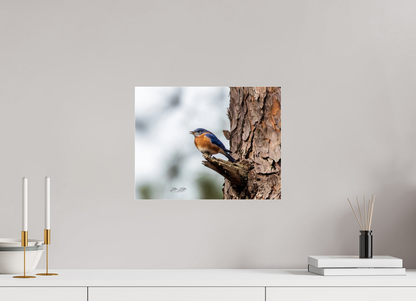 15.5 x 12″, Photo Print Under Acrylic Glass Zillas Zoom Image 349