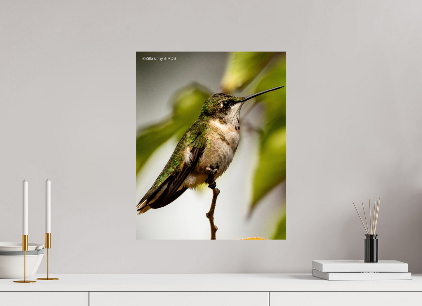 16 x 20″, Photo Print On Fuji Crystal DP II Zillas Zoom Image 472