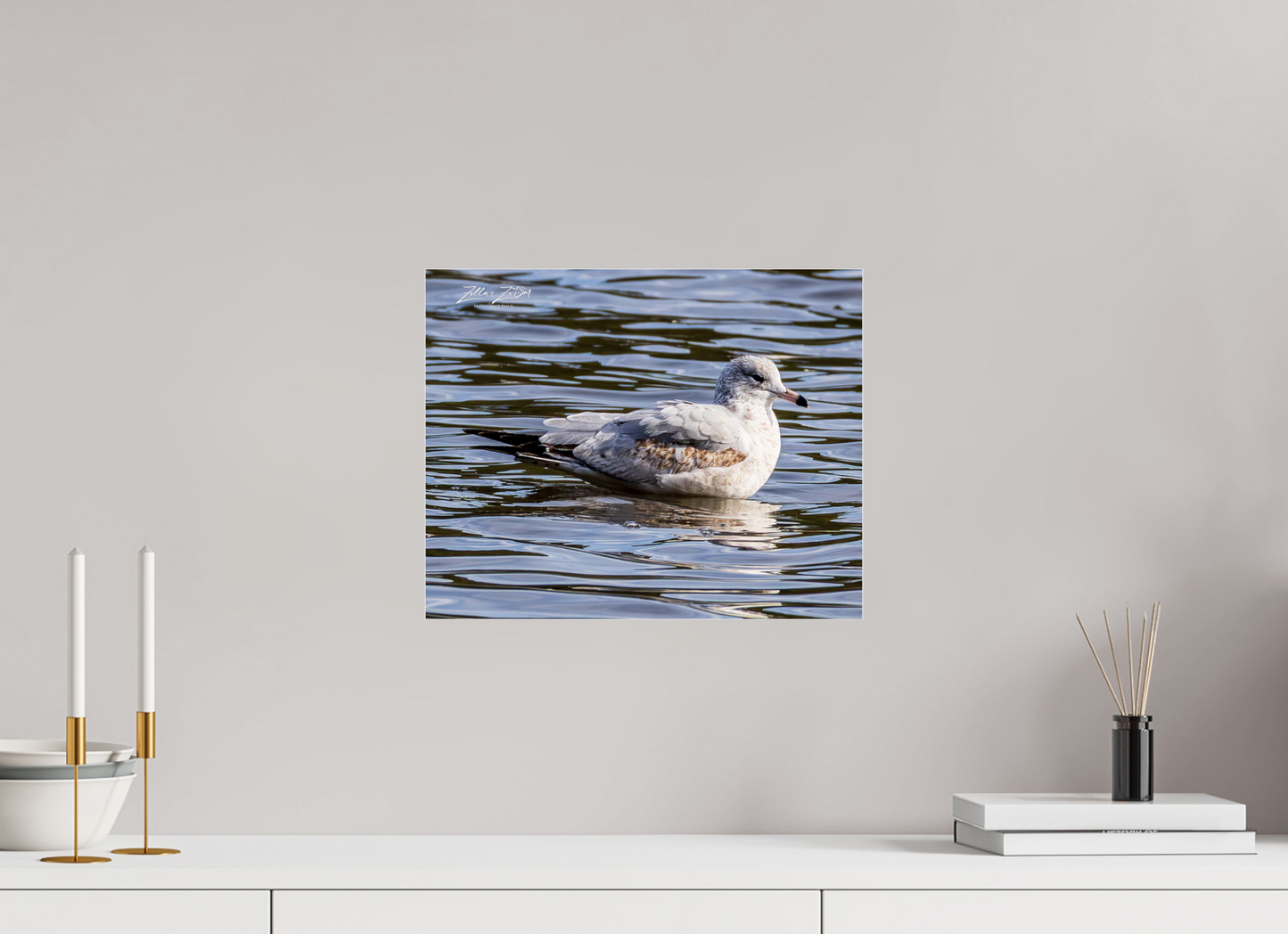 15 x 12″, Photo Print Under Acrylic Glass Zillas Zoom Image 271