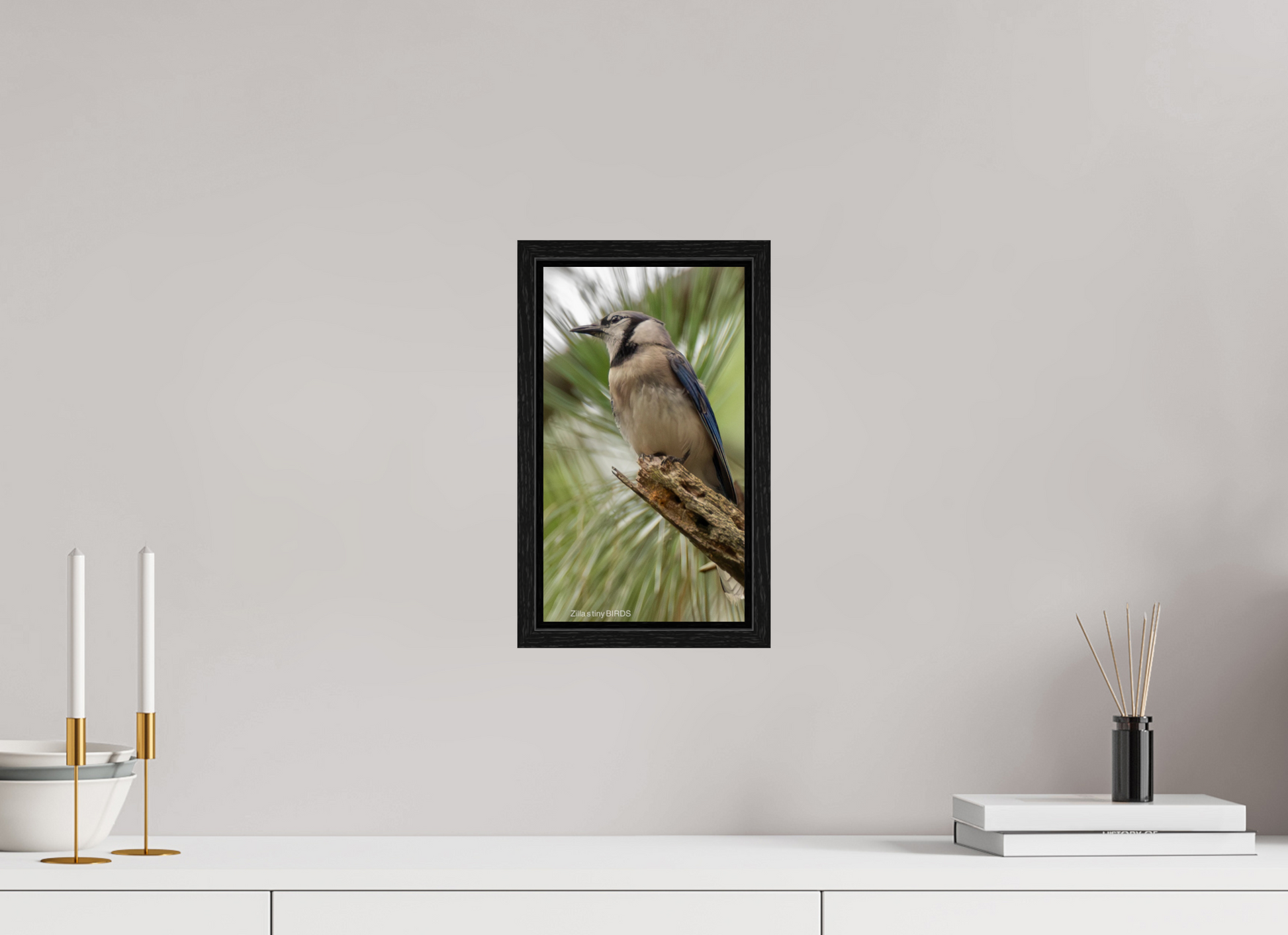 6.8 x 12″, Floater Frame Zillas Zoom Image 488