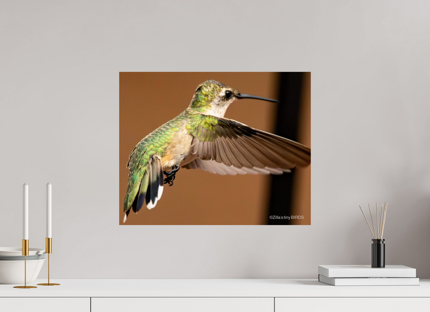 20 x 16″, Photo Print On Fuji Crystal DP II Zillas Zoom Image 336