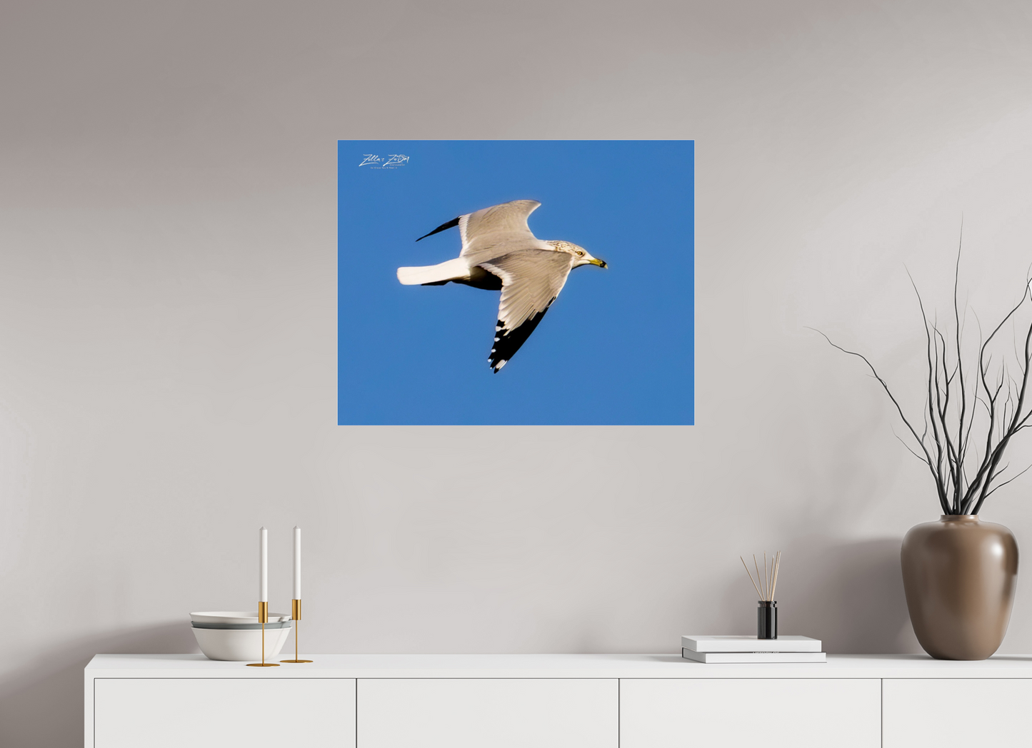 30 x 24″, Photo Print Under Acrylic Glass Zillas Zoom Image 266