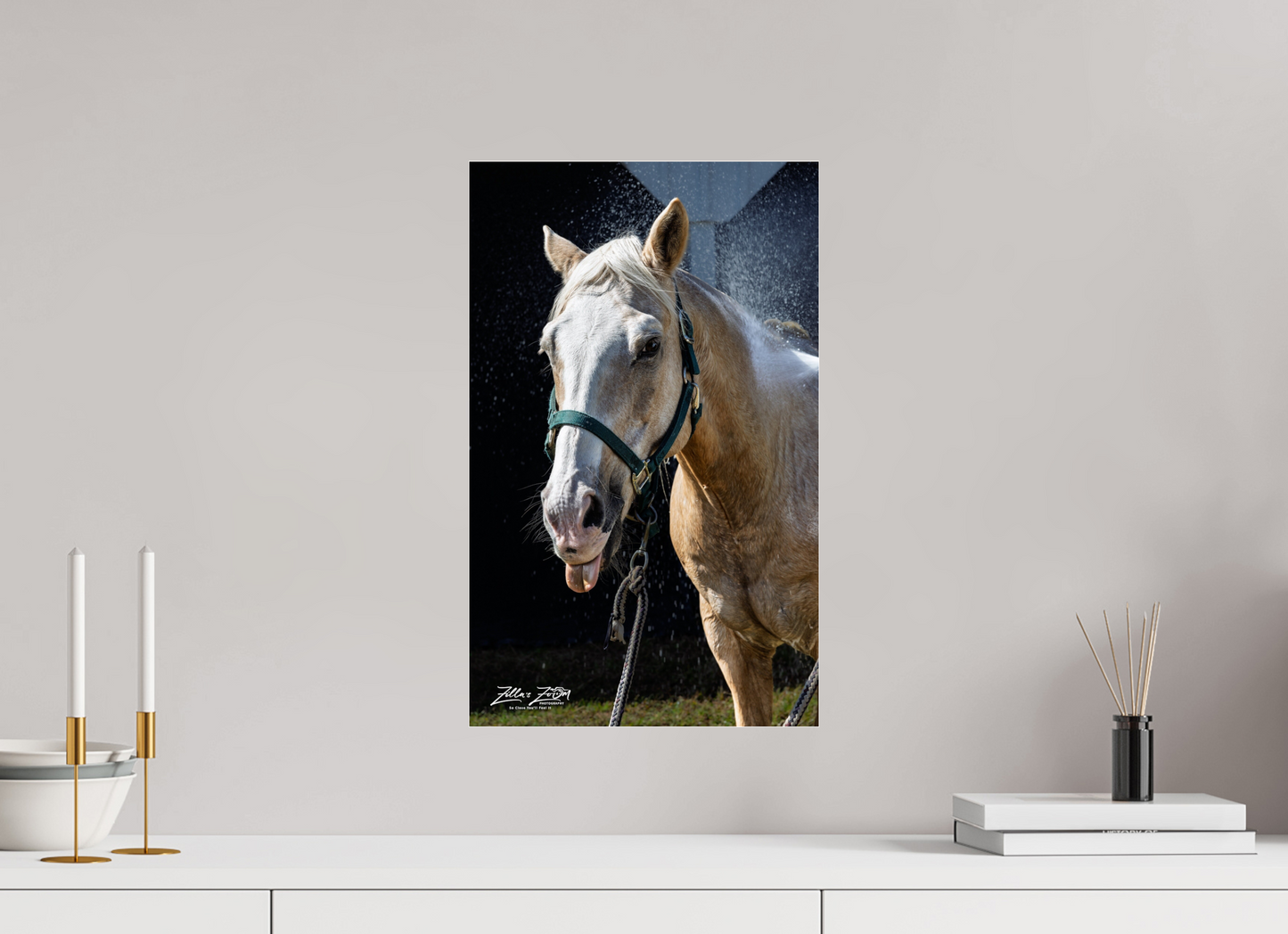 12 x 19.4″, Photo Print Under Acrylic Glass Zillas zoom image 156