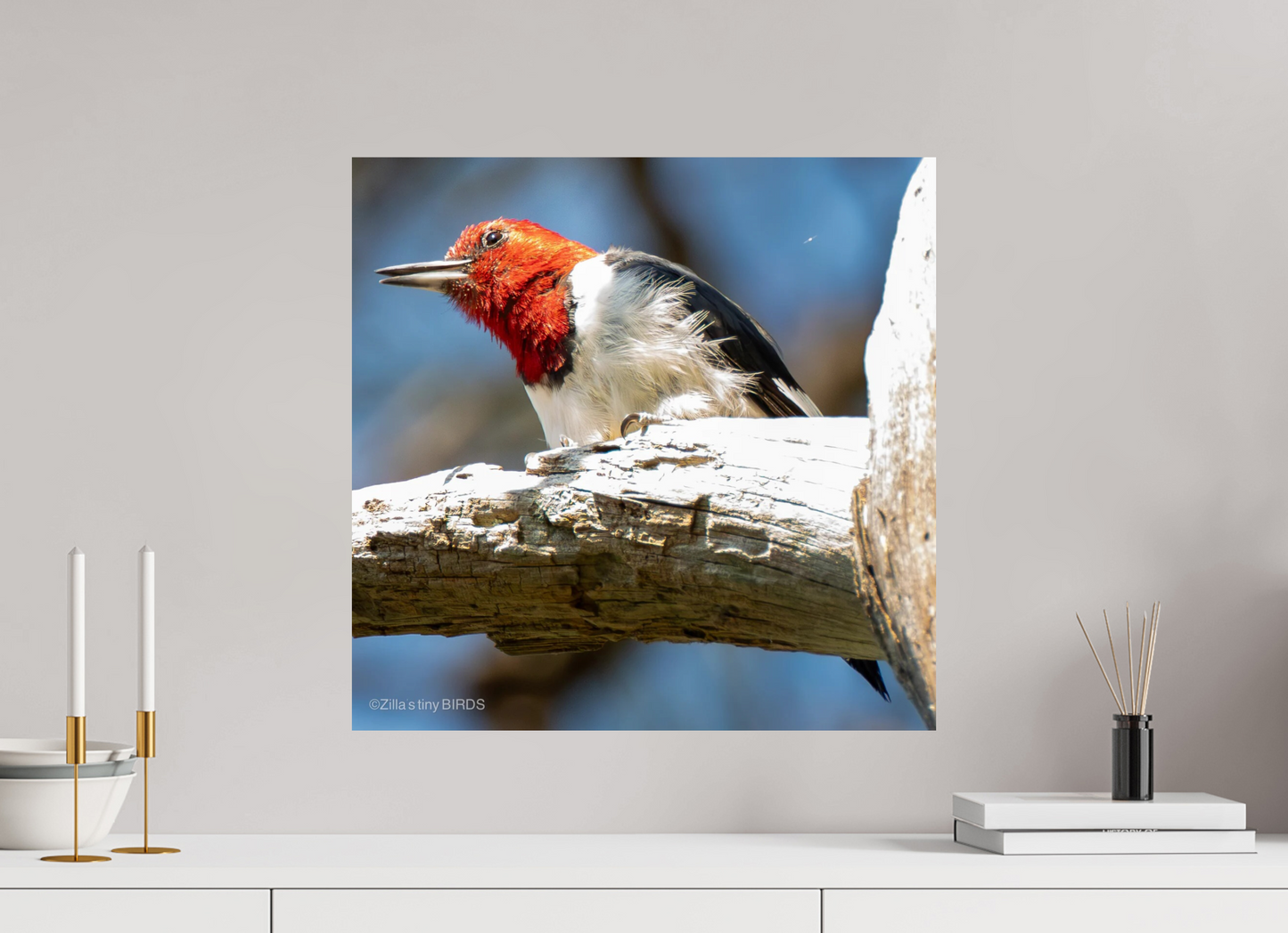 20.4 x 20″, Photo Print On Fuji Crystal DP II Zillas Zoom Image 273