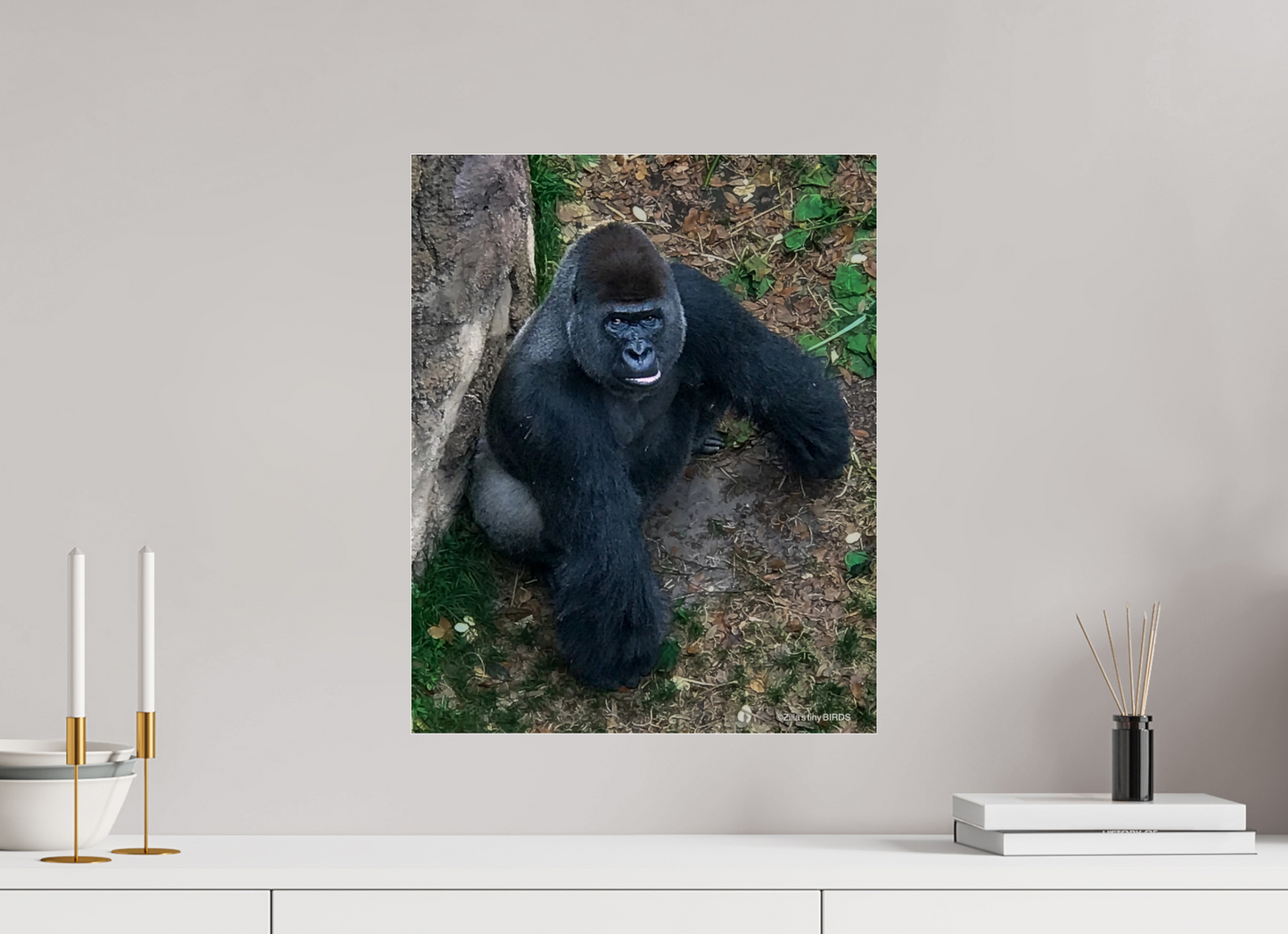 16 x 19.9″, Photo Print Under Acrylic Glass Zillas zoom image 151