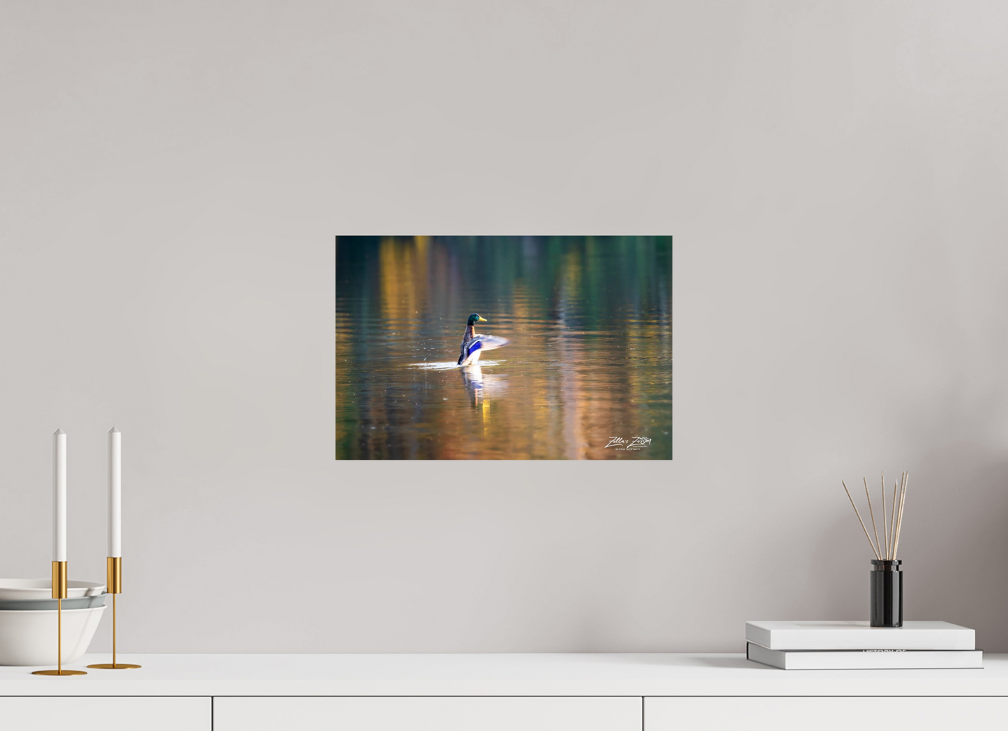 15 x 10″, Photo Print On Fuji Crystal DP II Zillas Zoom Image 345