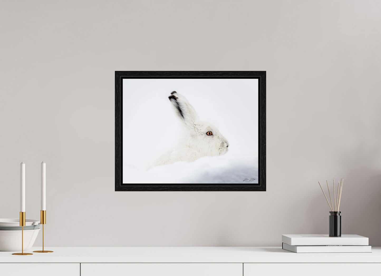 15.5 x 12″, Floater Frame Zillas zoom image 147